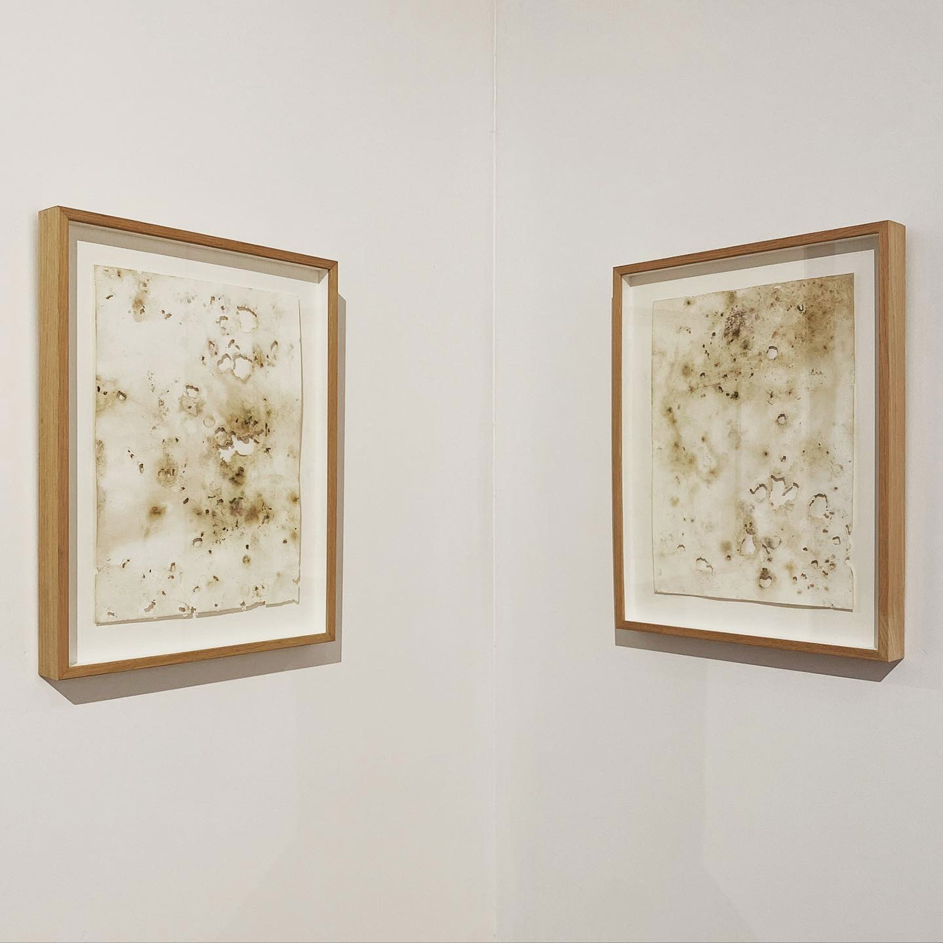 Companion Pieces (Diptych) / Paper / 620 × 960mm / 2021
