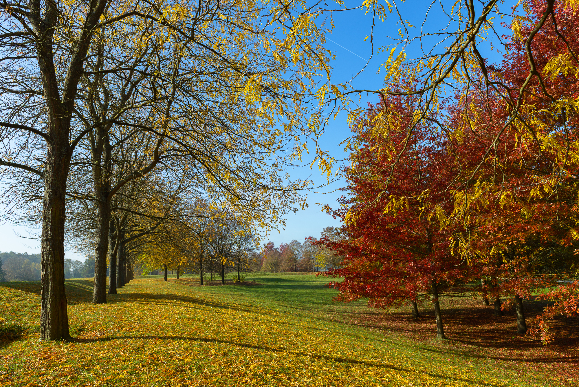 Les étangs de Brognard en automne.