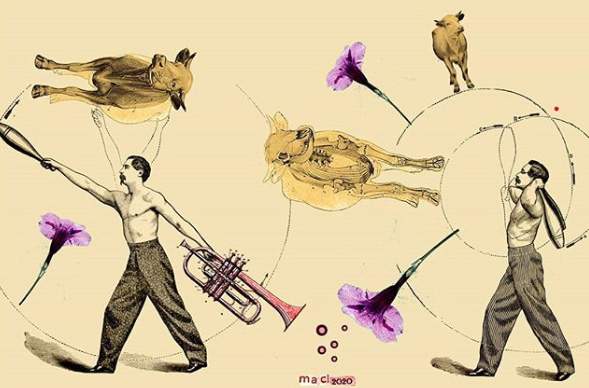 Maria Anna Ciemerych