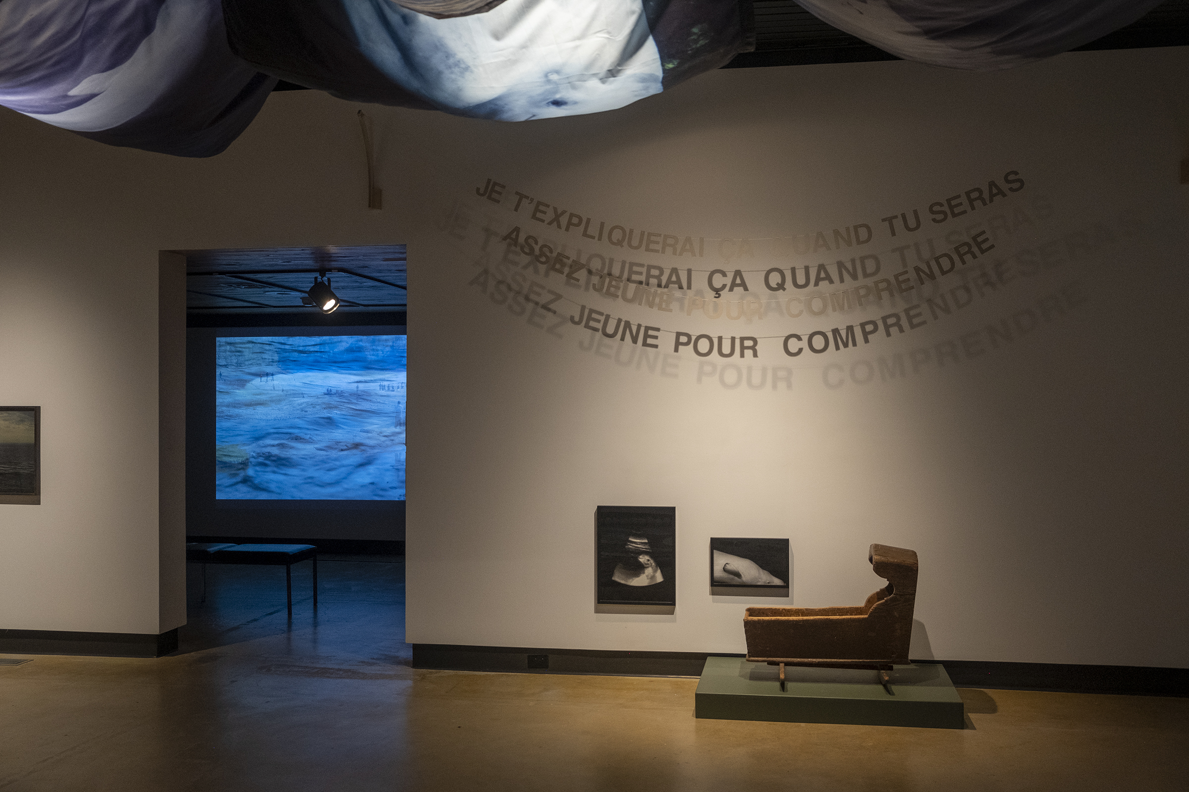 Dans l'œil du béluga, Galerie d’art Louise-et-Reuben-Cohen de l'Université de Moncton, 2025
