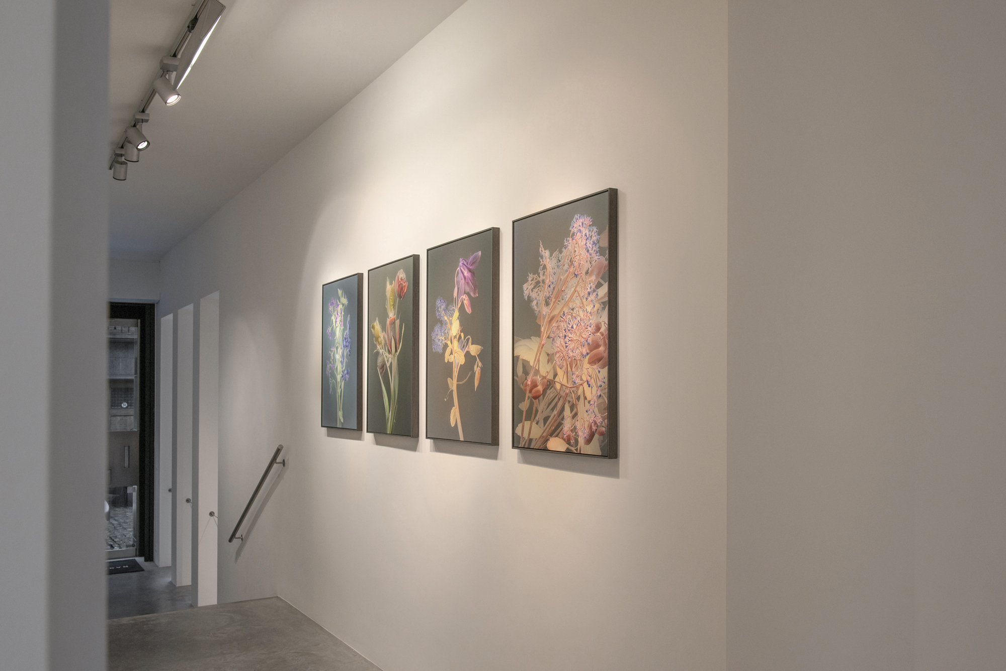 Solo exhibition Rasson Gallery, Belgium 2019