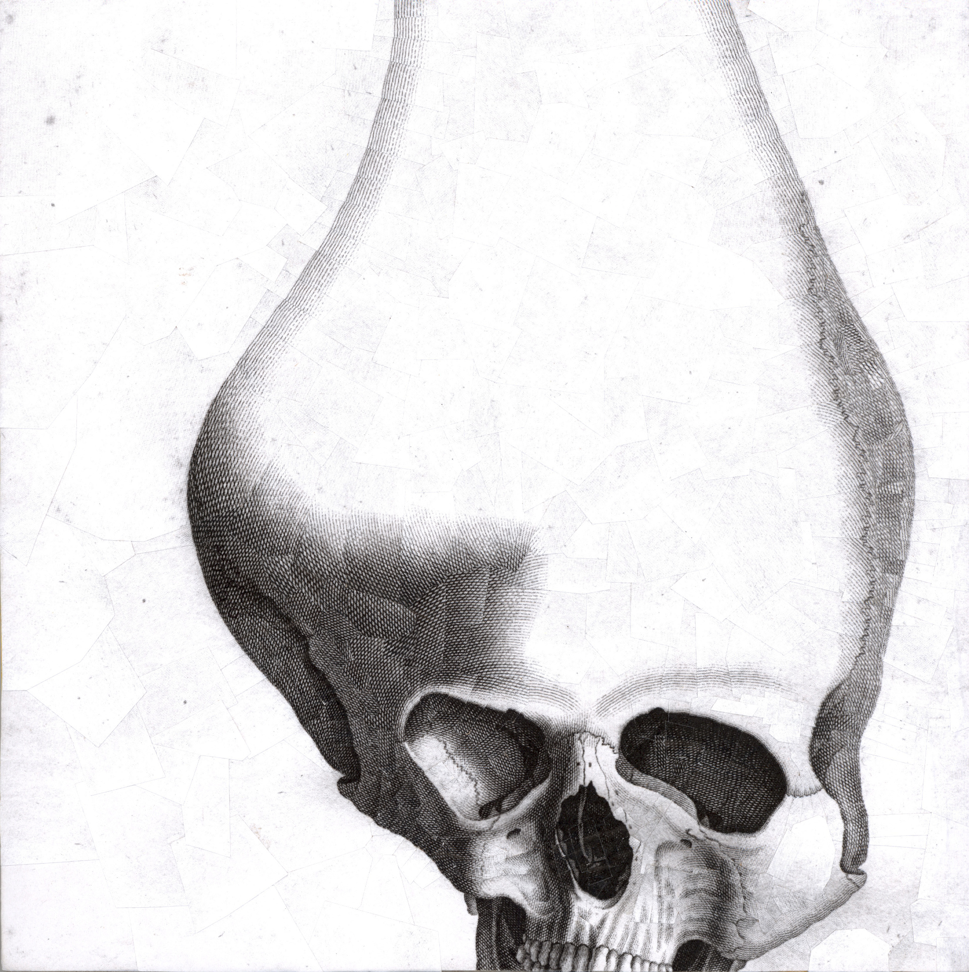 For Circus by Herznote publishing, 2010, 10 x 10 inches