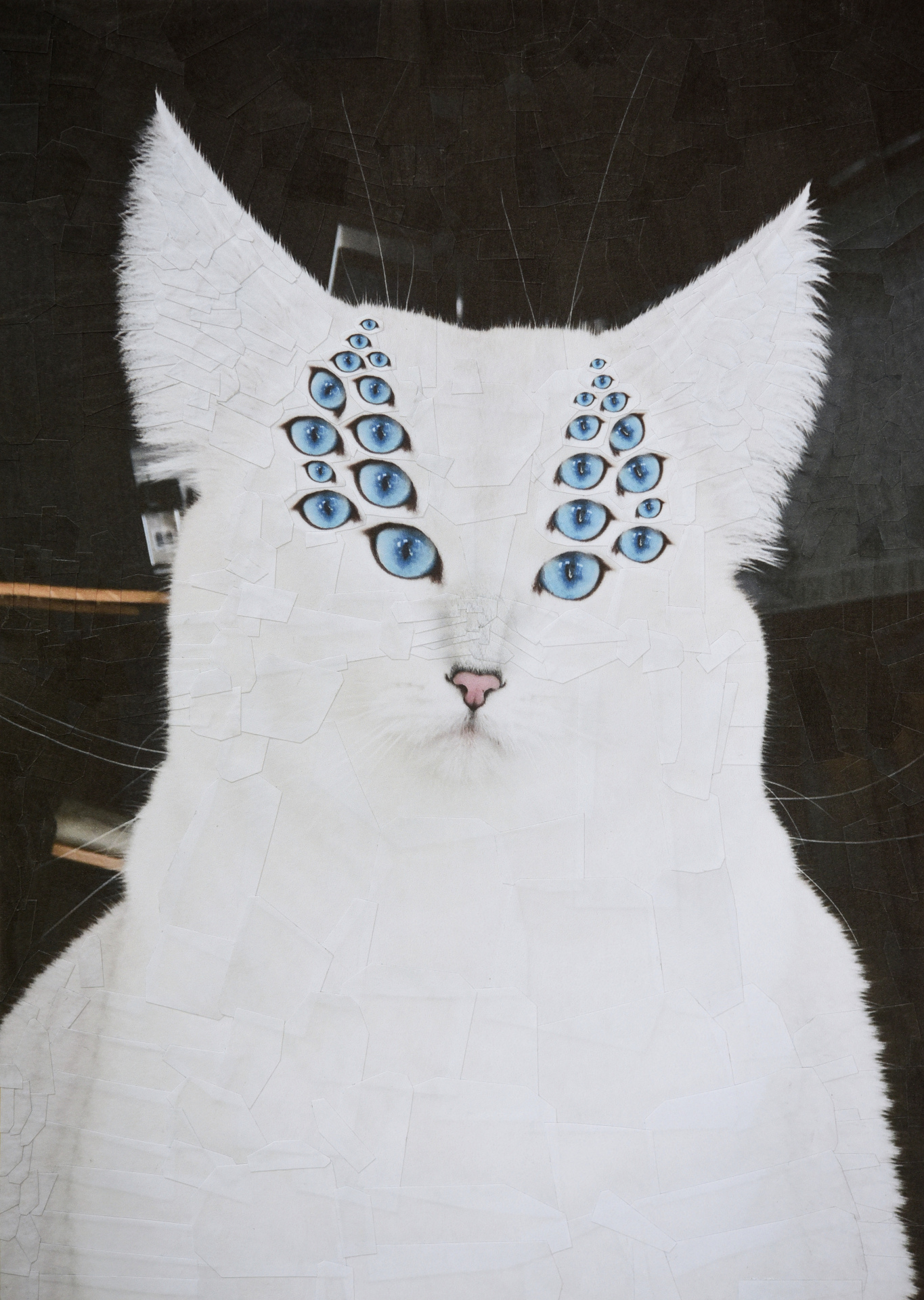 Coby, 2018, 8.2 x 11.6 inches