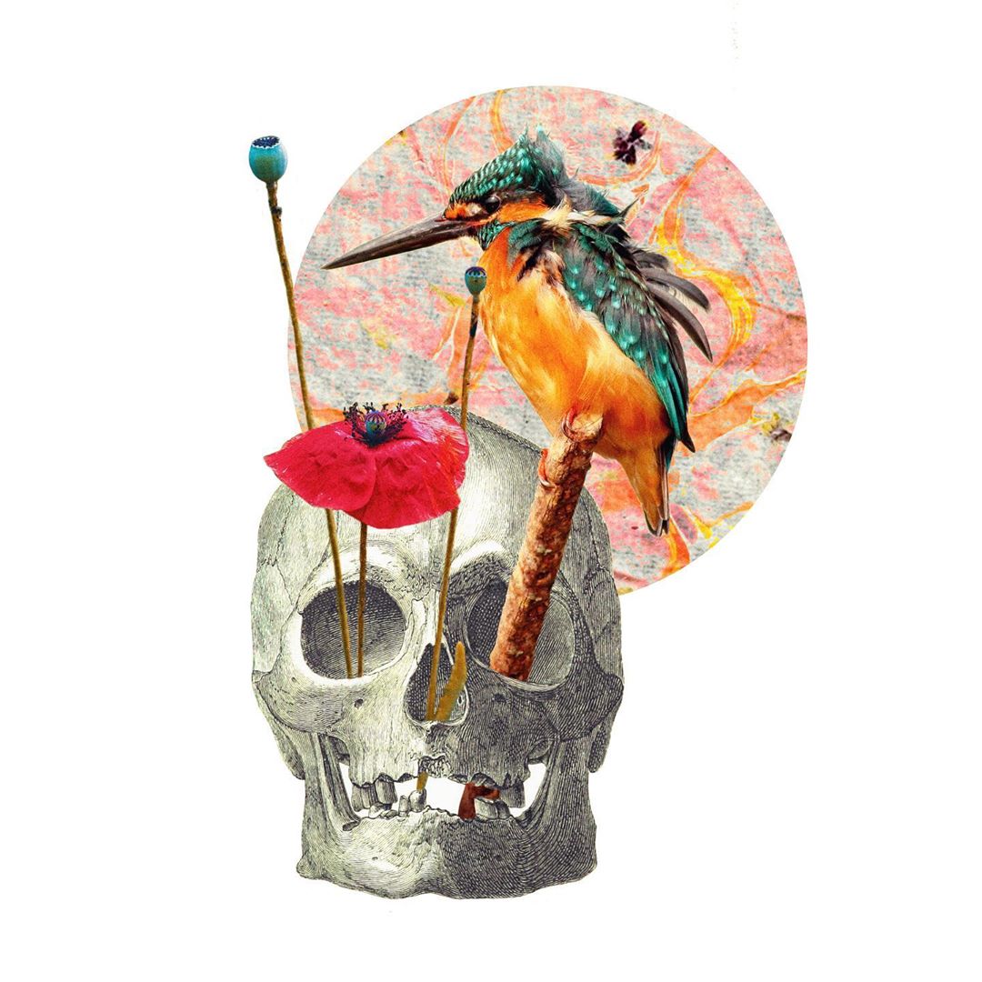 Rocio Fernández Lorca