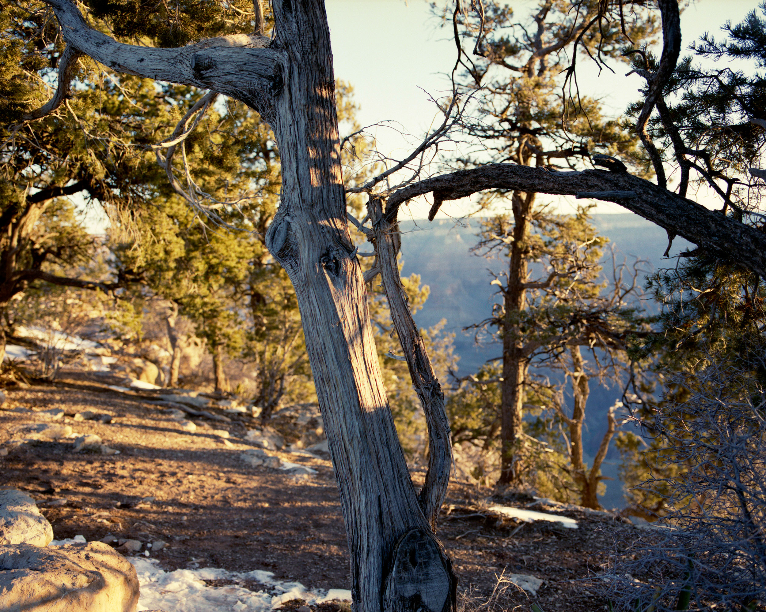 6am, Grand Canyon, AZ, 2023