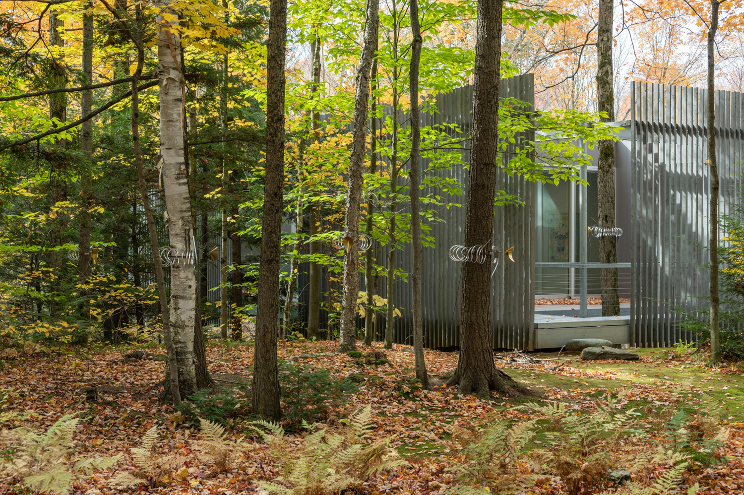 Ioana Vreme Moser, Arboreal Receptors N3, 2022. Photo : Paul Litherland