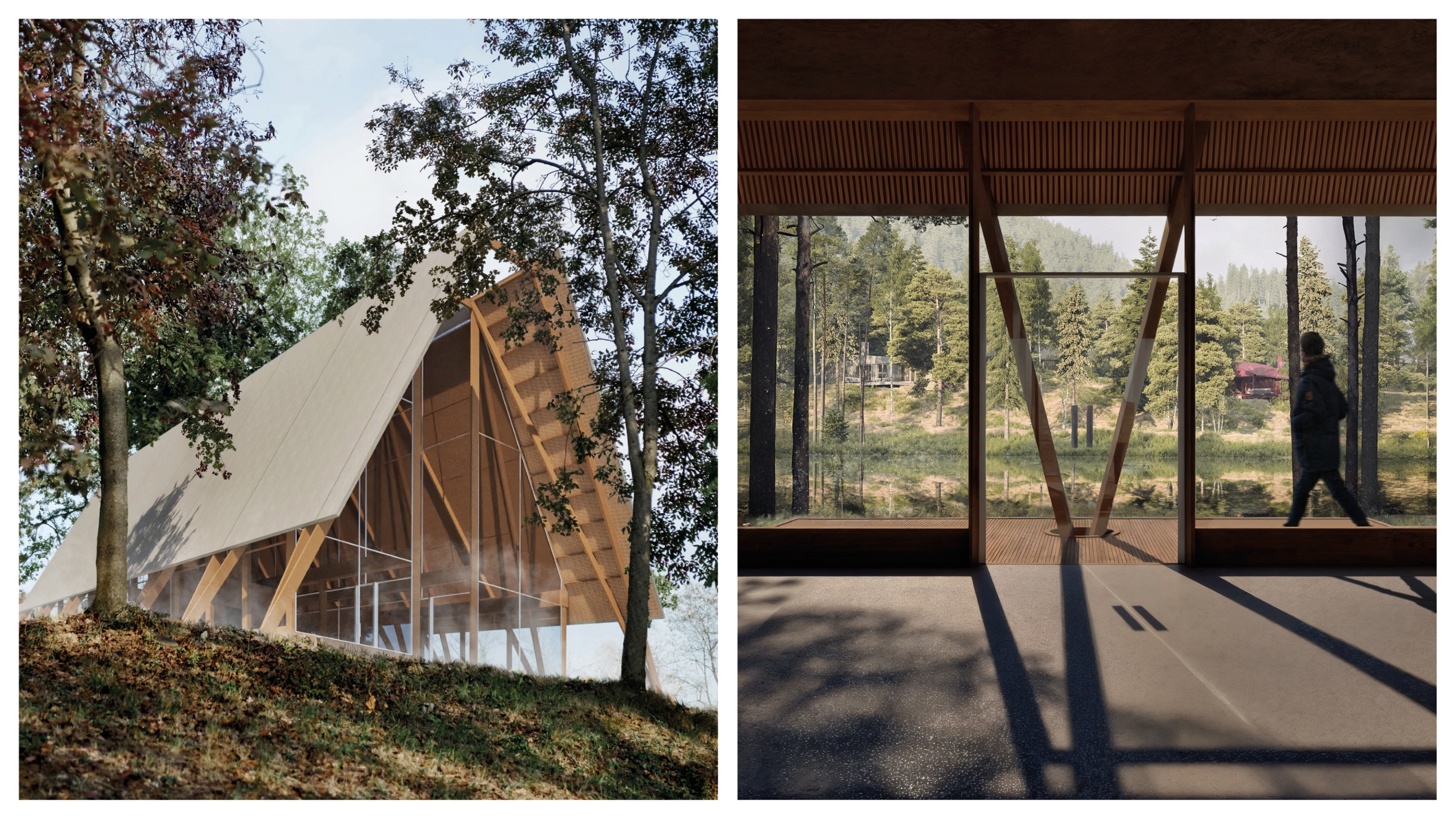 Scottish Woodland Archive