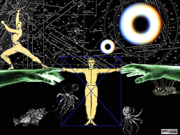 Maria Anna Ciemerych