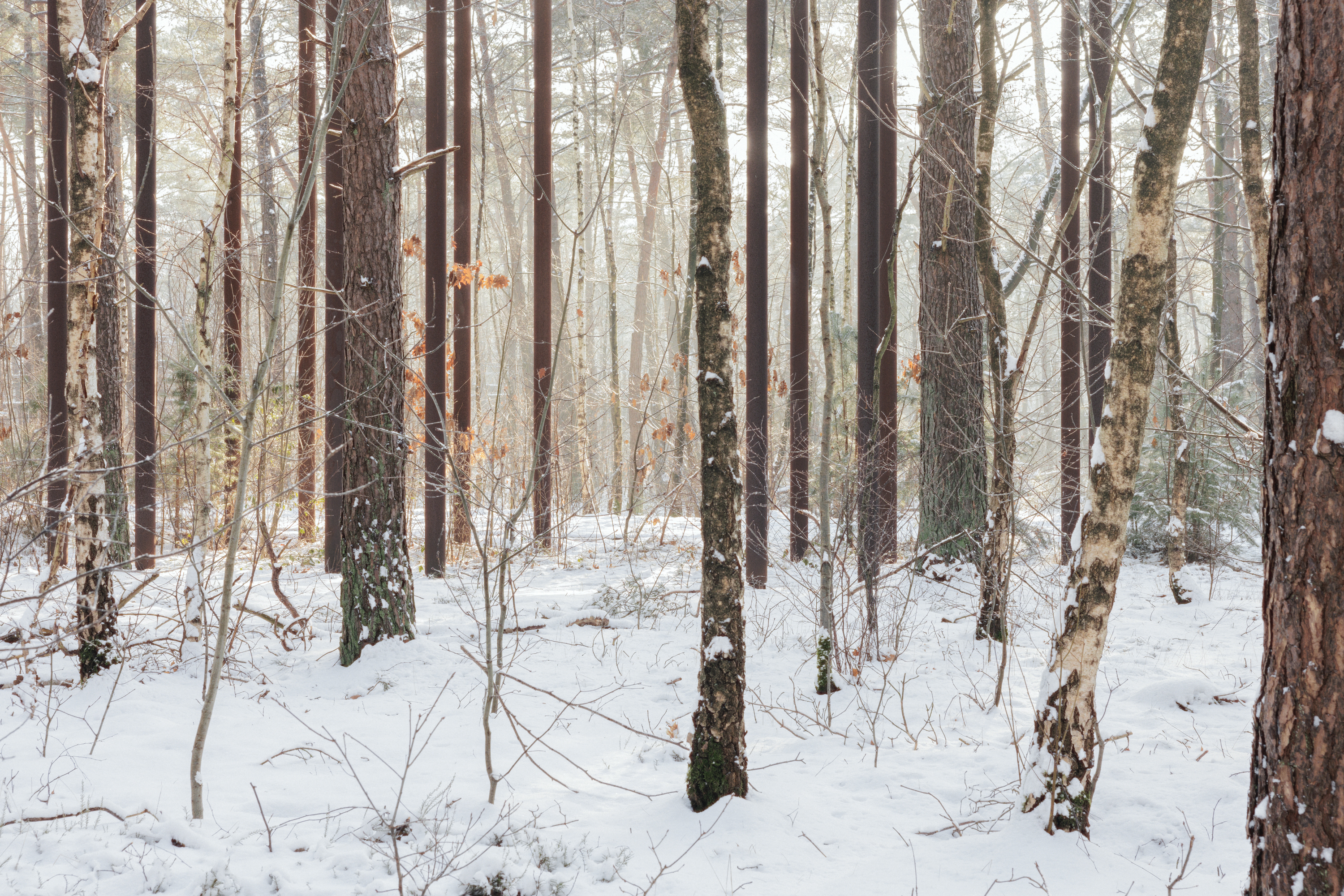 Fietsen door de bomen - BuroLandschap, Atelier Ensemble & De Gregorio & Partners
