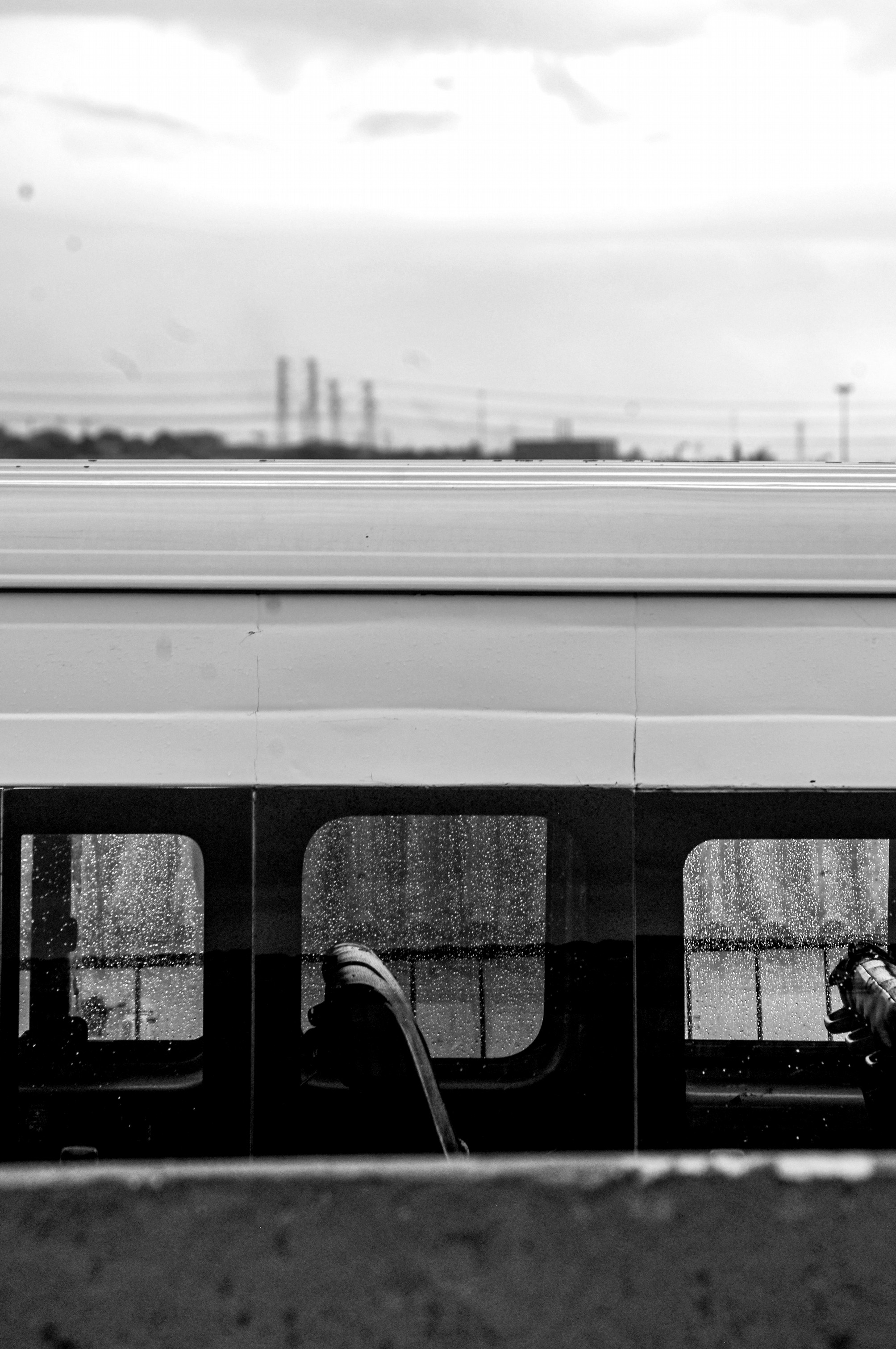 The soothing ride, 2021