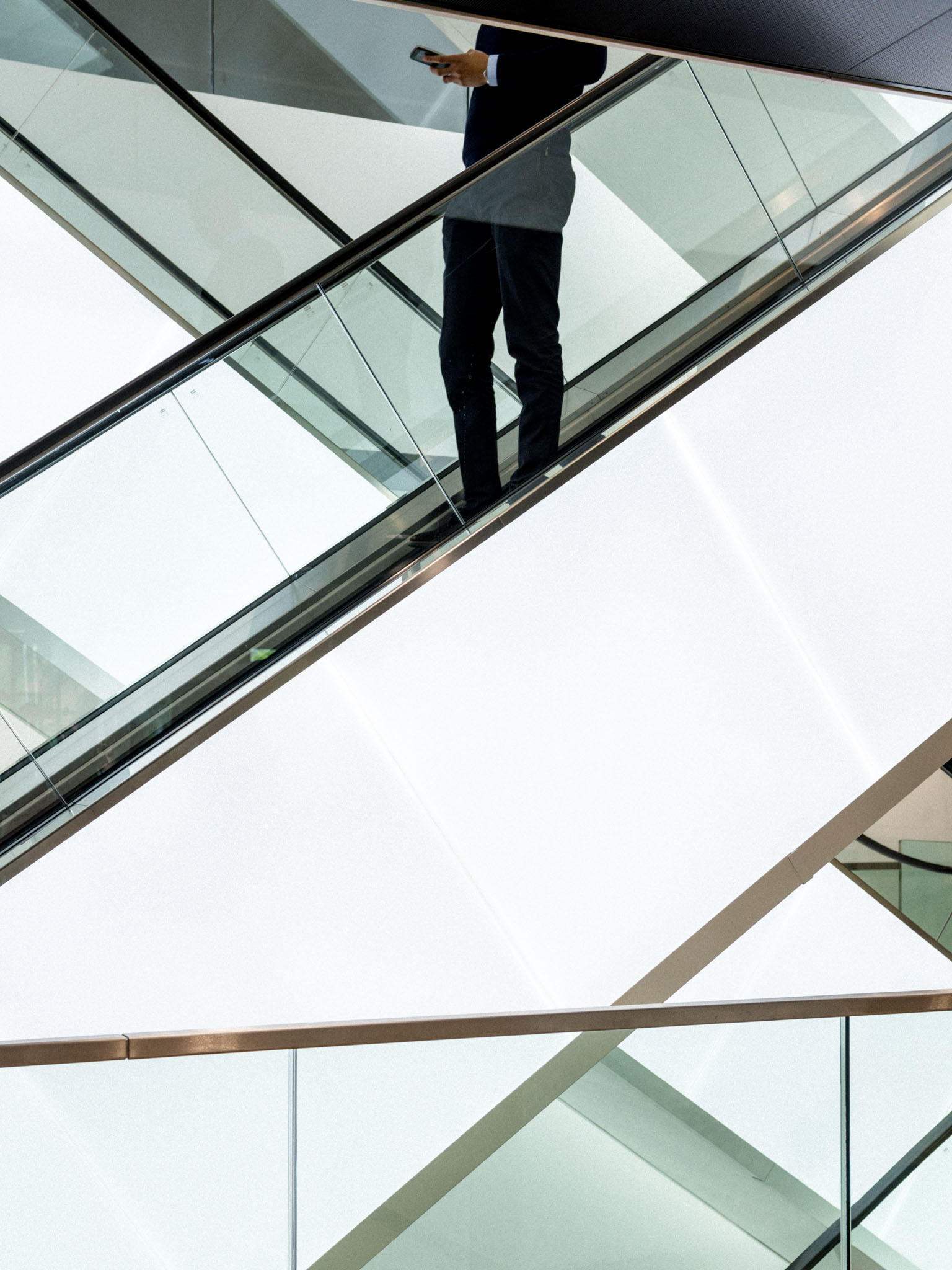 A.S.R. Headquarters (redesign and renovation by Team V)