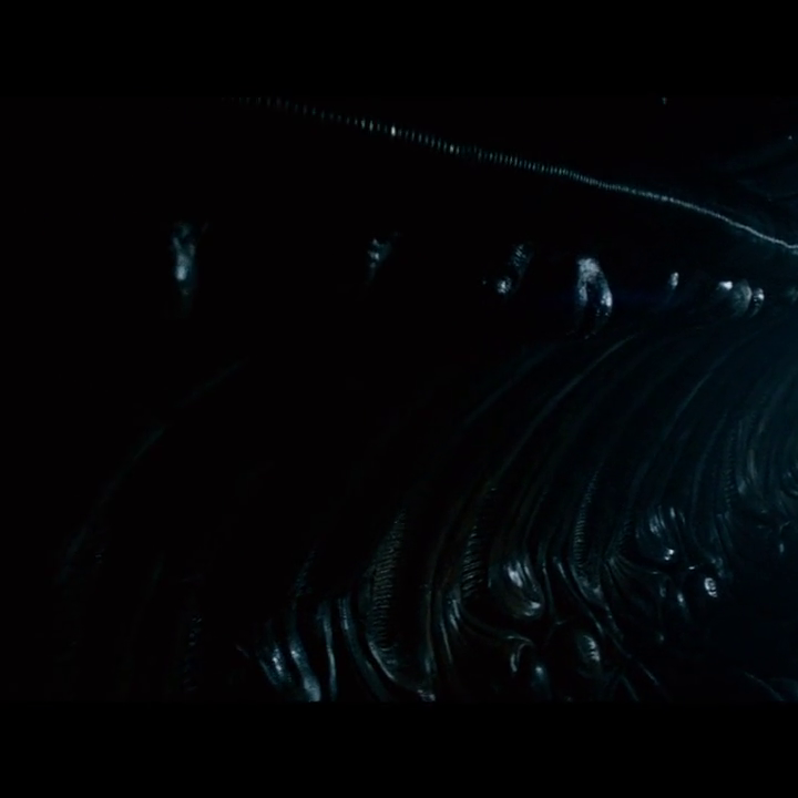 THE GODS WERE ALWAYS EATING