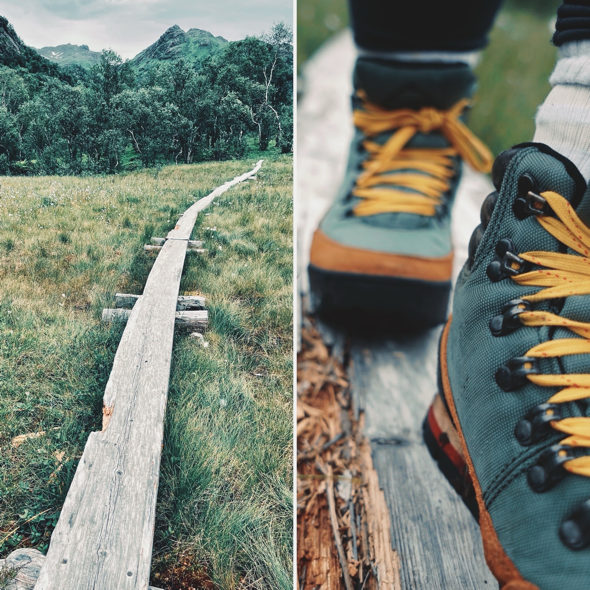 In the arctic tundra, far north of Norway, 07/'22