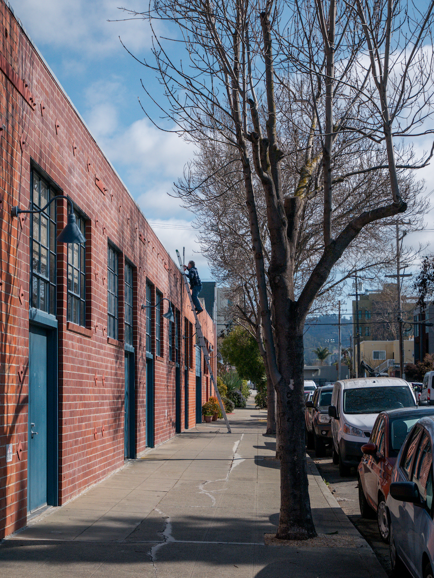 1006 Grayson Street, Berkeley, CA