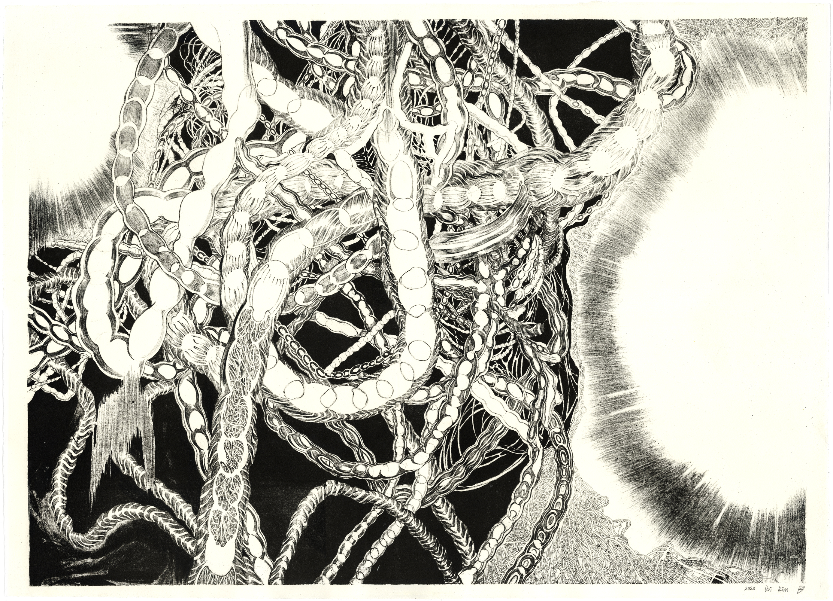 The Fifth Child 1: Umbilical Cords, 2020, Colored pencil and ink on lithograph, 30 x 22 in/ 76.2 x 55.8 cm, variable edition of 5 + 1 AP