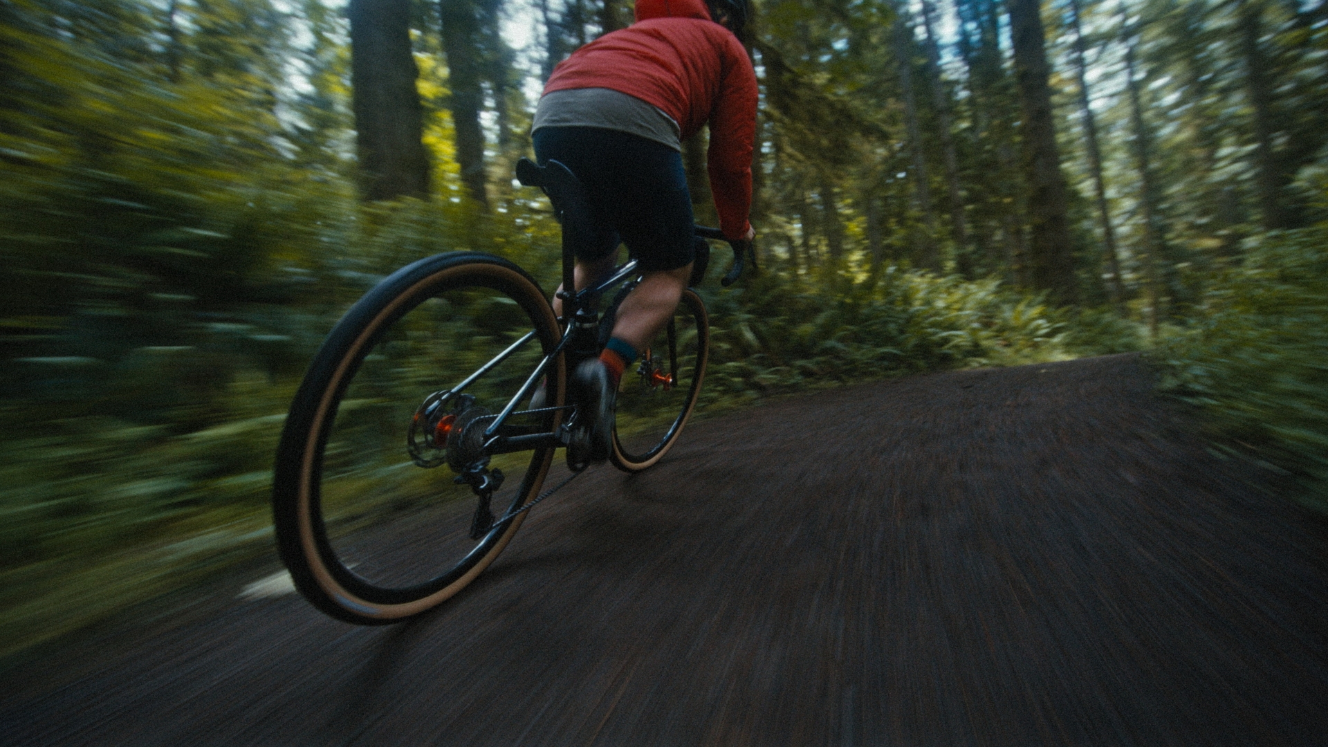 REI - The Right to Joy