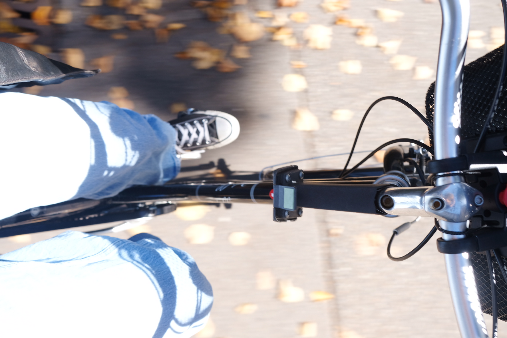 Die Laubblätter knistern, währenddem ich Richtung Altstadt die Stadthausstrasse hinauffahre