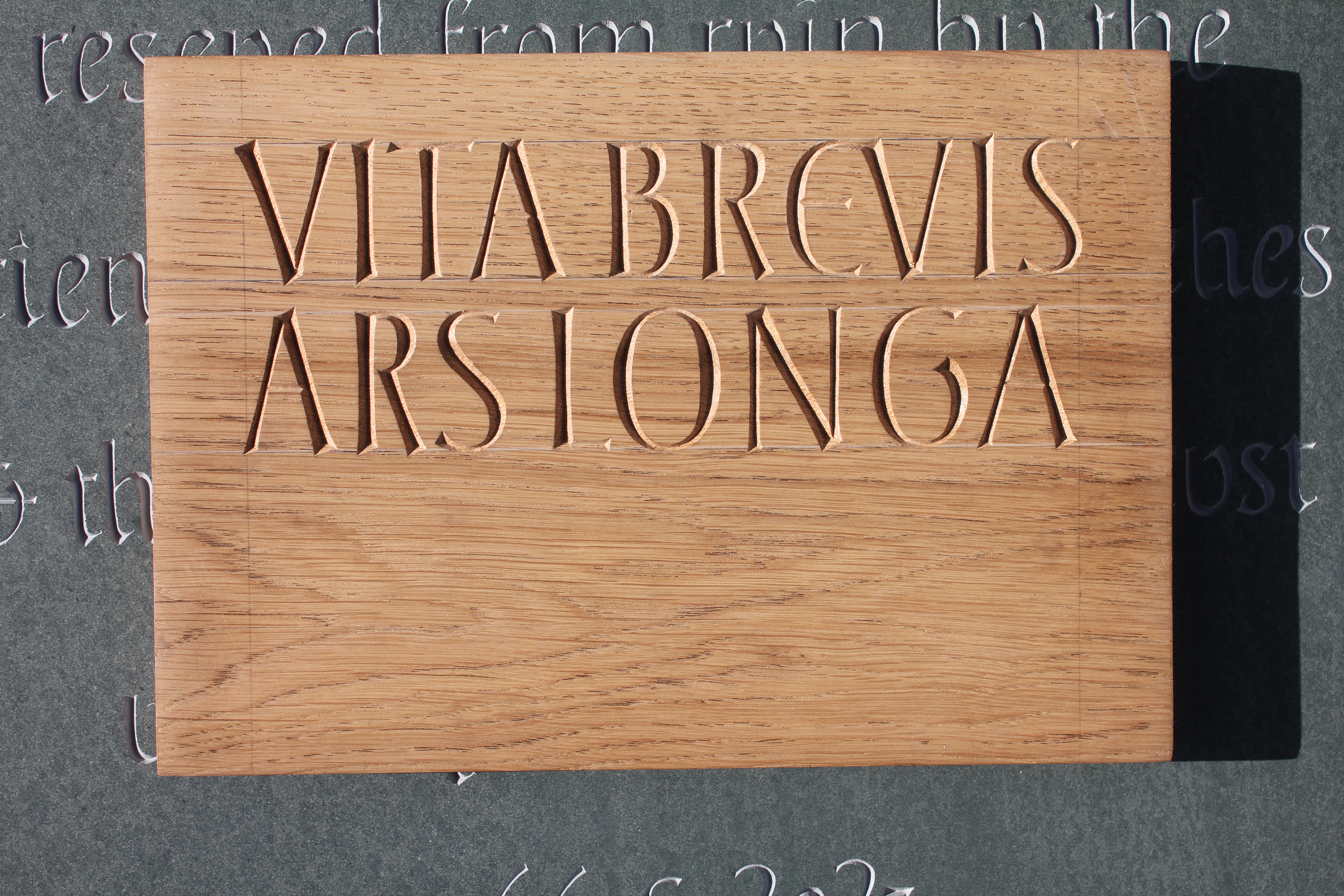 ‘Vita Brevis Ars Longa’, carved English Oak, 2024 