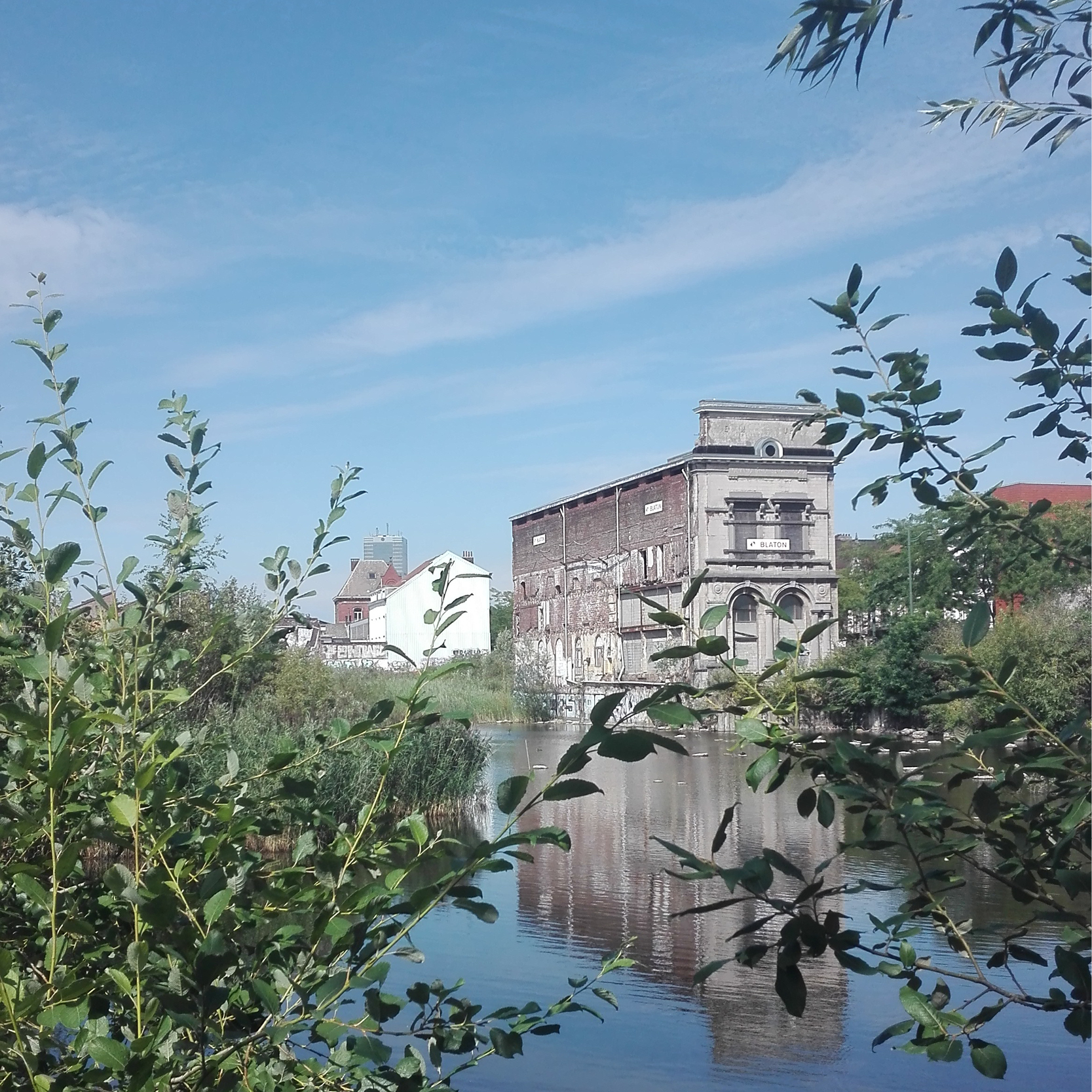 11.21 | Parc de l'Avant-Senne - vvv sélectionnés avec UTIL