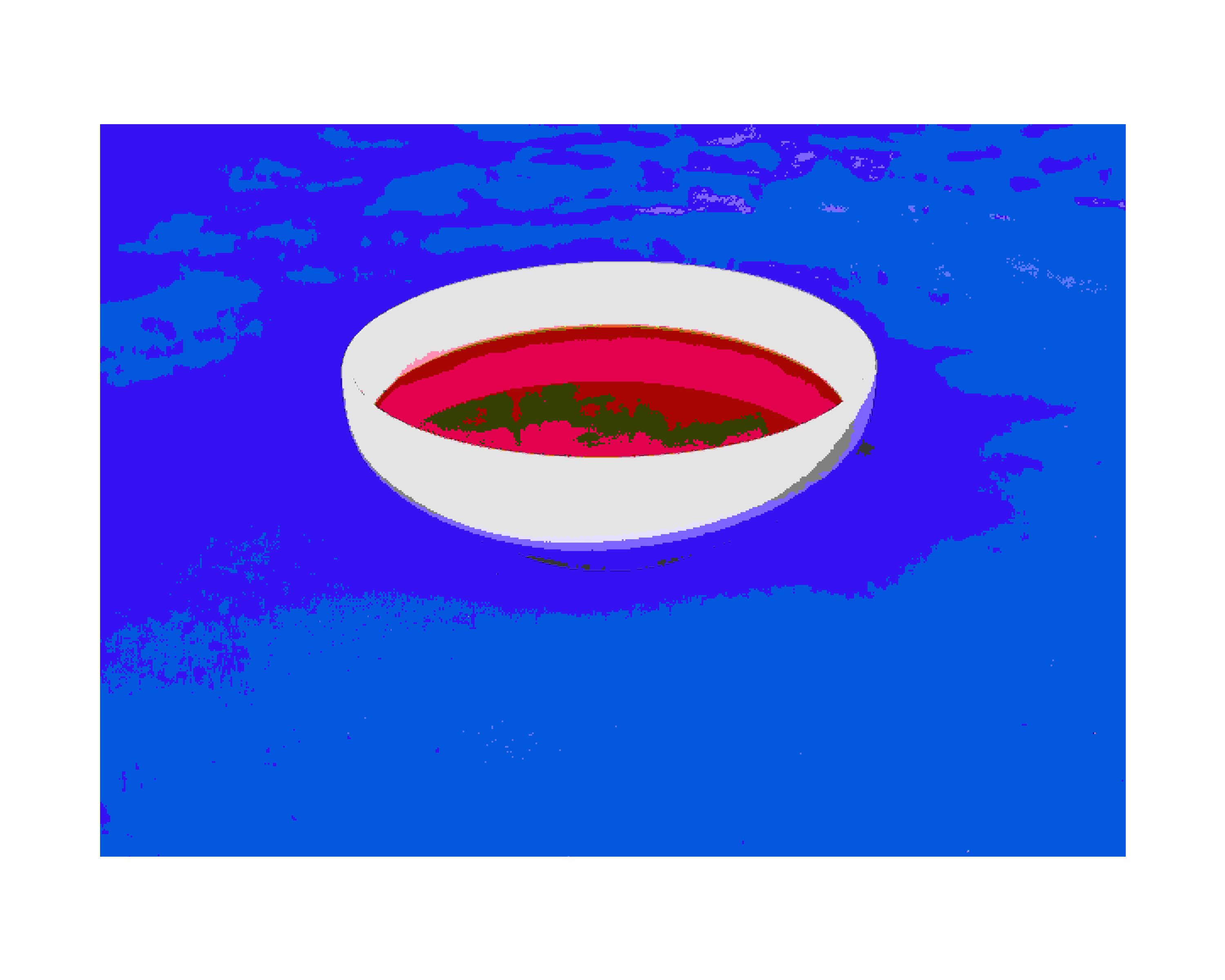 Wonton_input240 ($33)