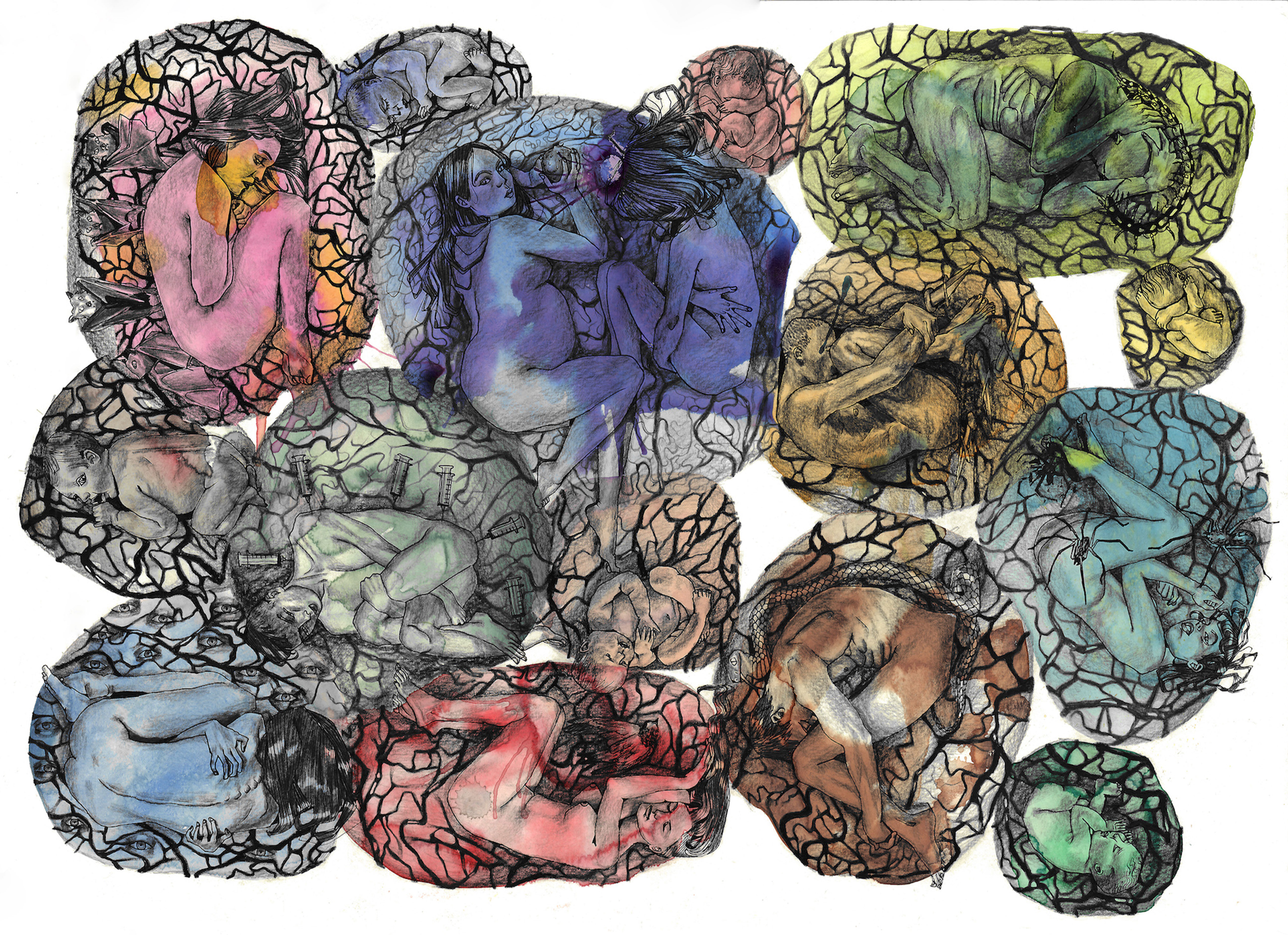 A͓̽n͓̽a͓̽t͓̽o͓̽m͓̽y͓̽ ͓̽o͓̽f͓̽ ͓̽F͓̽e͓̽a͓̽r͓̽s͓̽