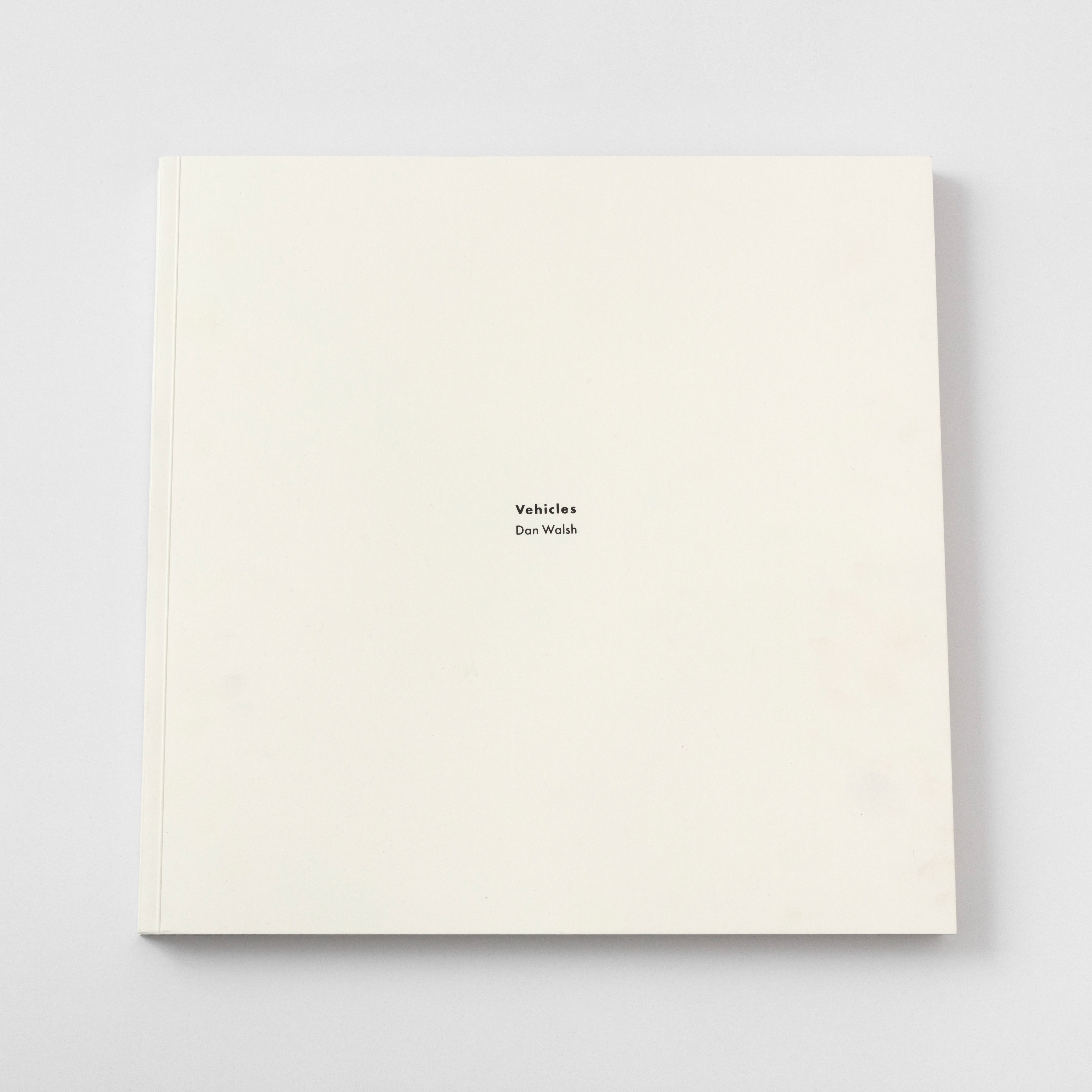 Dan Walsh / Paula Cooper Gallery