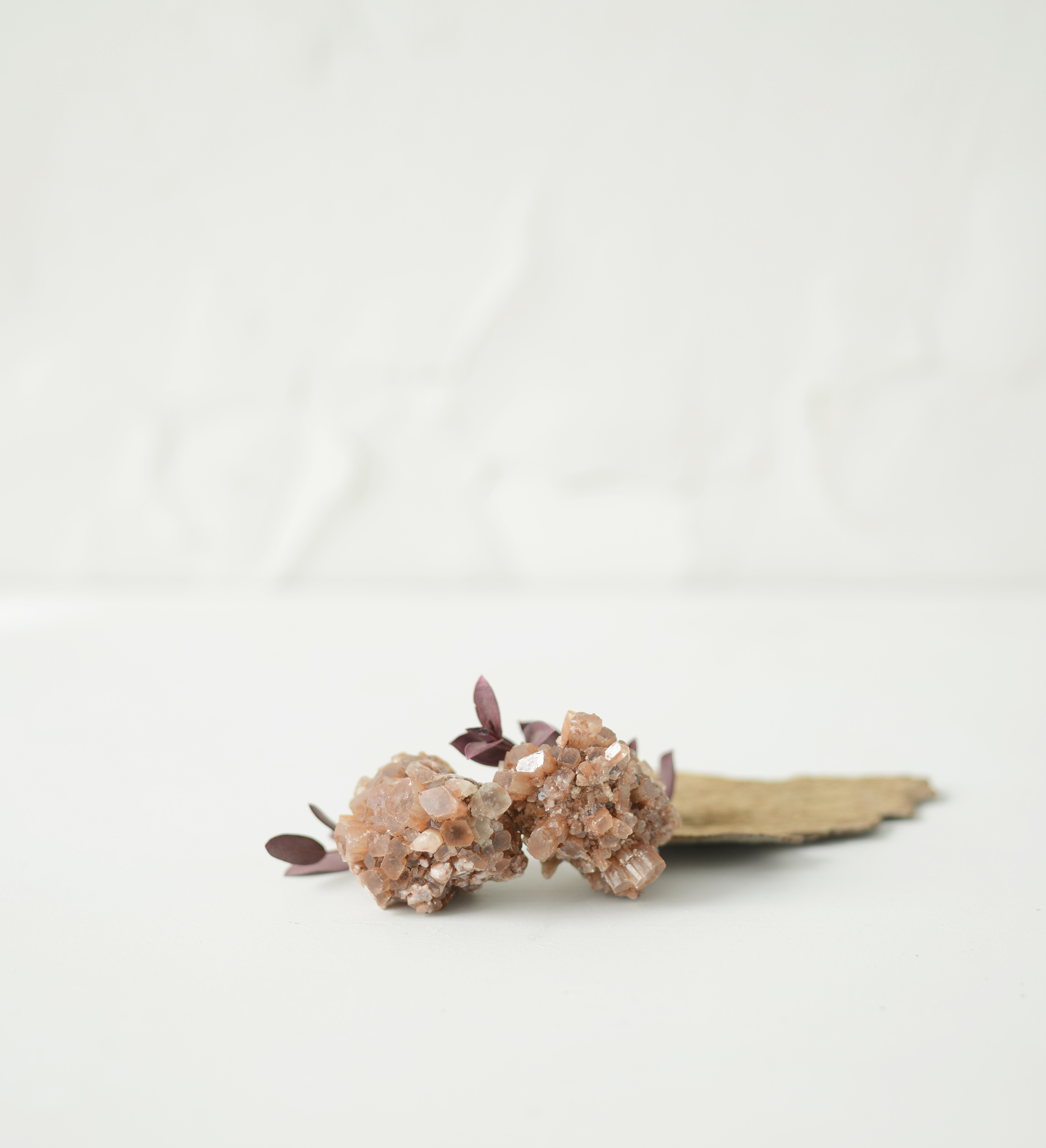 Ed.Solar - Photos Nathalie Carnet