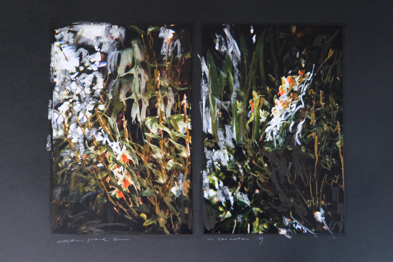 42 x 60 cm