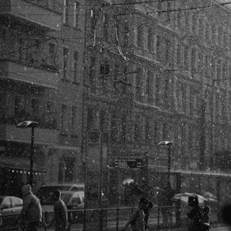 transience #07 with Patterns of Perception