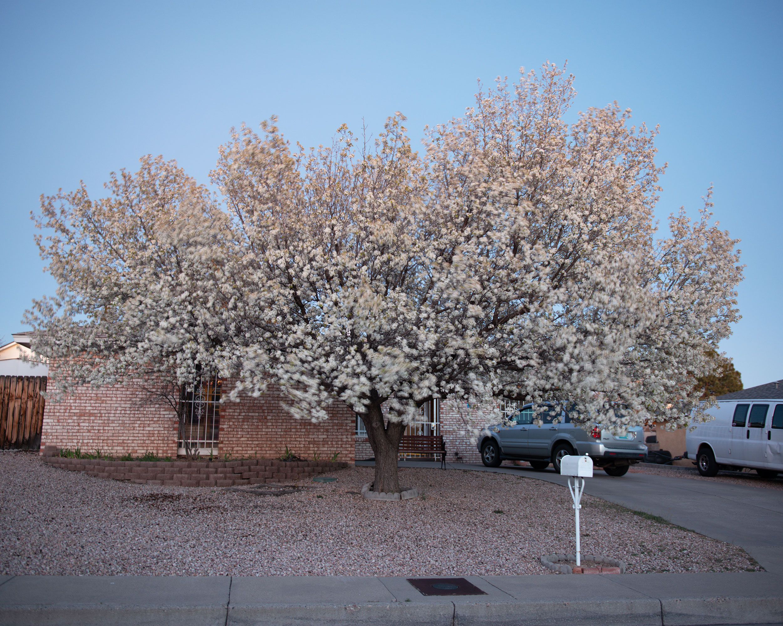 A Pastel Blur, Albuquerque, NM, 2023