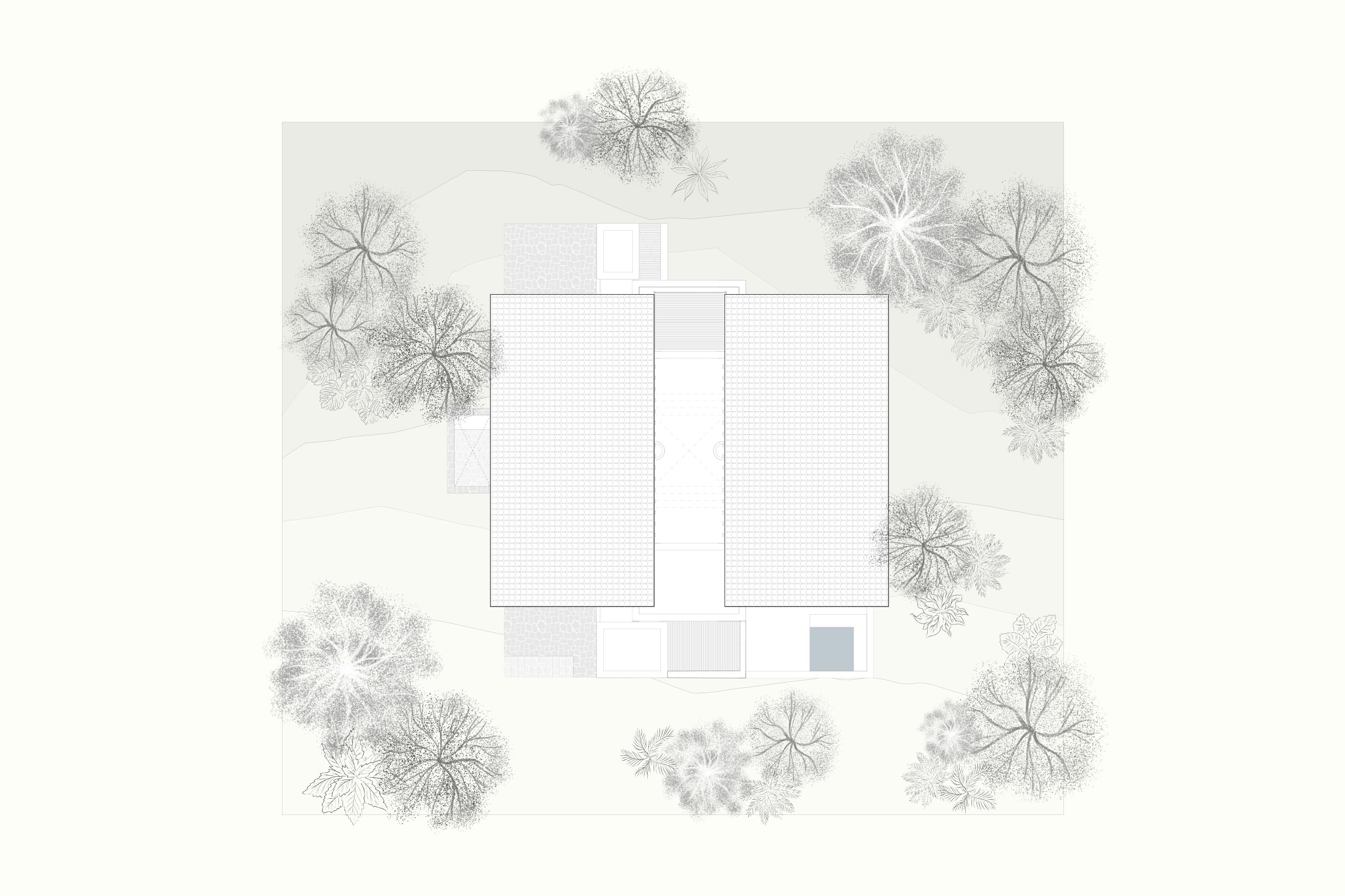 Planta techos
