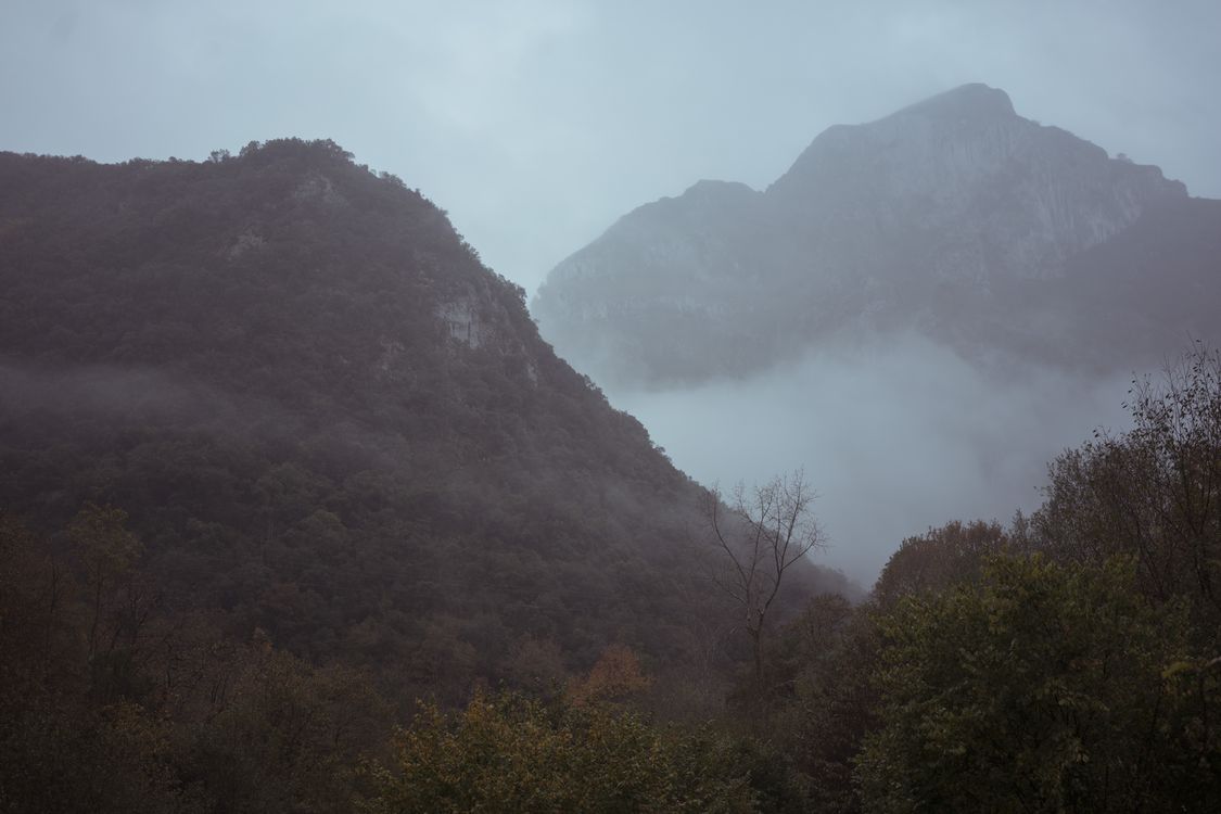 Asturias, 2019
