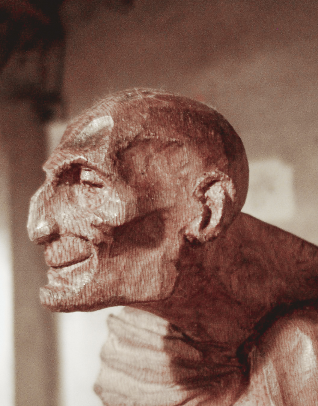 h&ecirc;tre | h. 40 cm