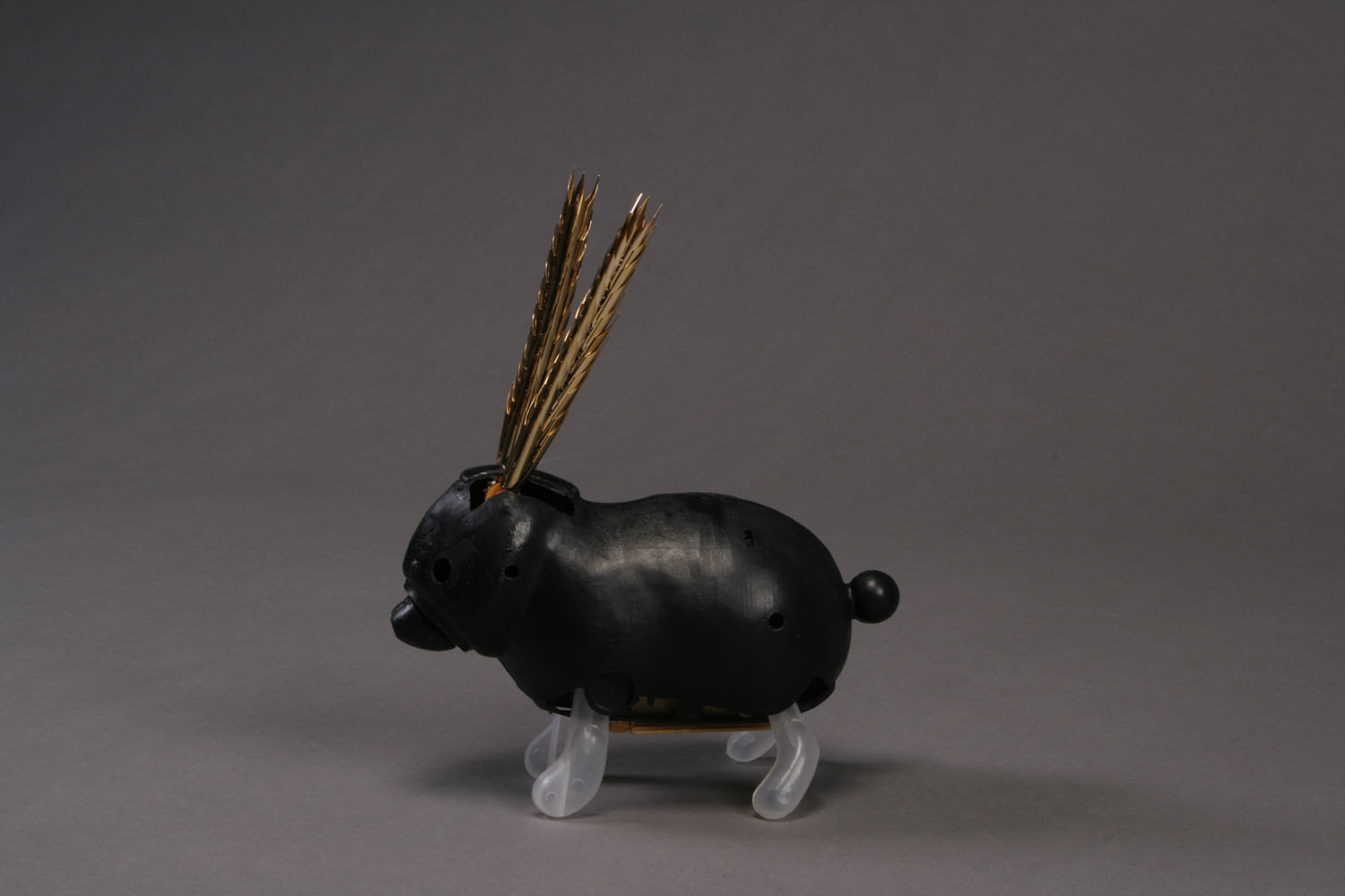 The Rocky Rabbit, 2007