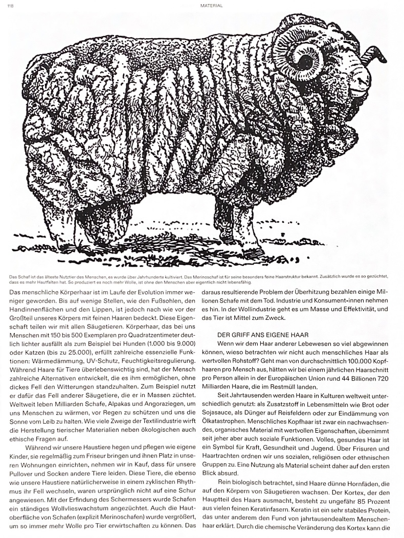 Scary Hairy – Artikel für form 297