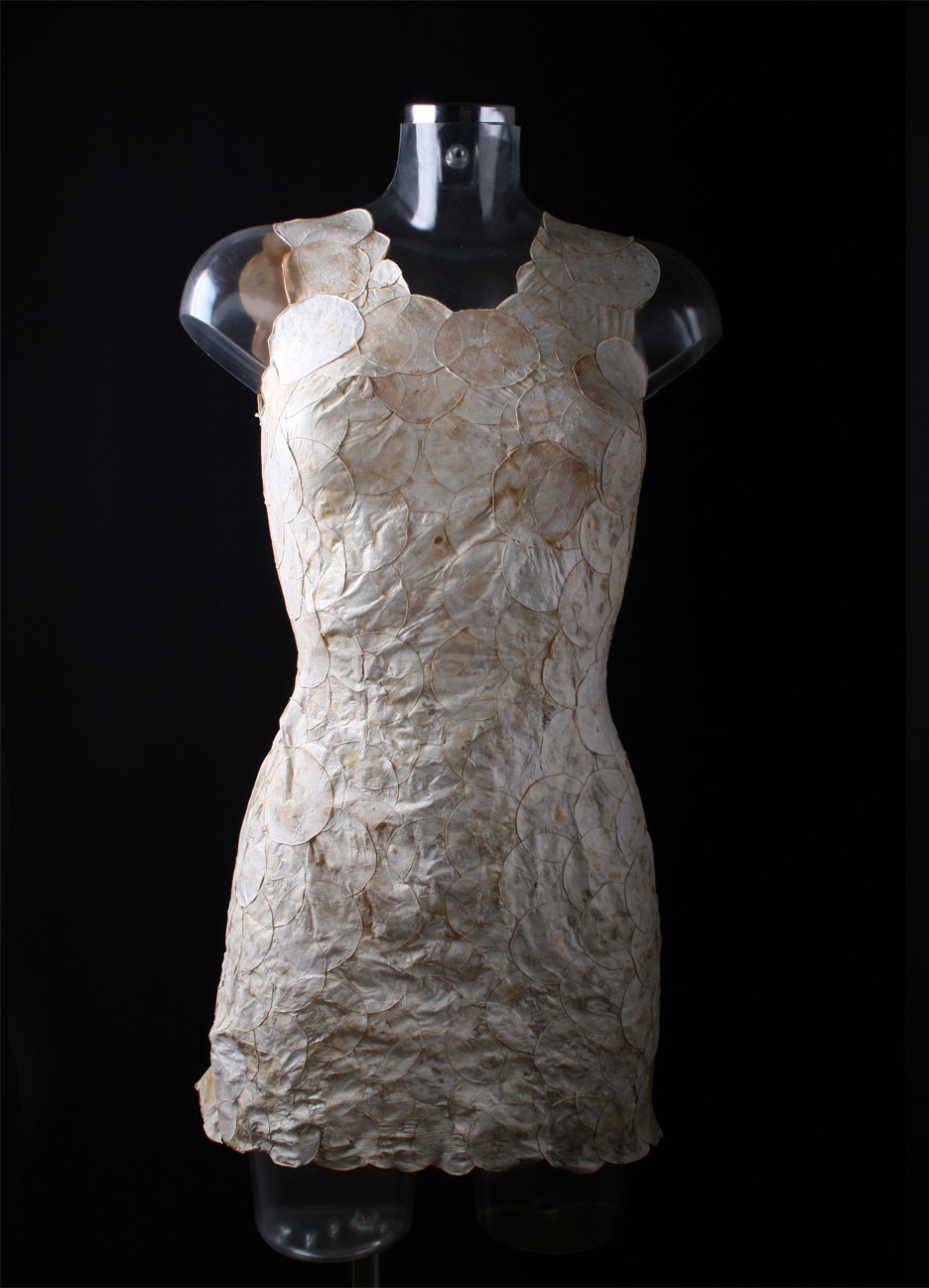 Aniela Hoitink: Mycelium Textiles
