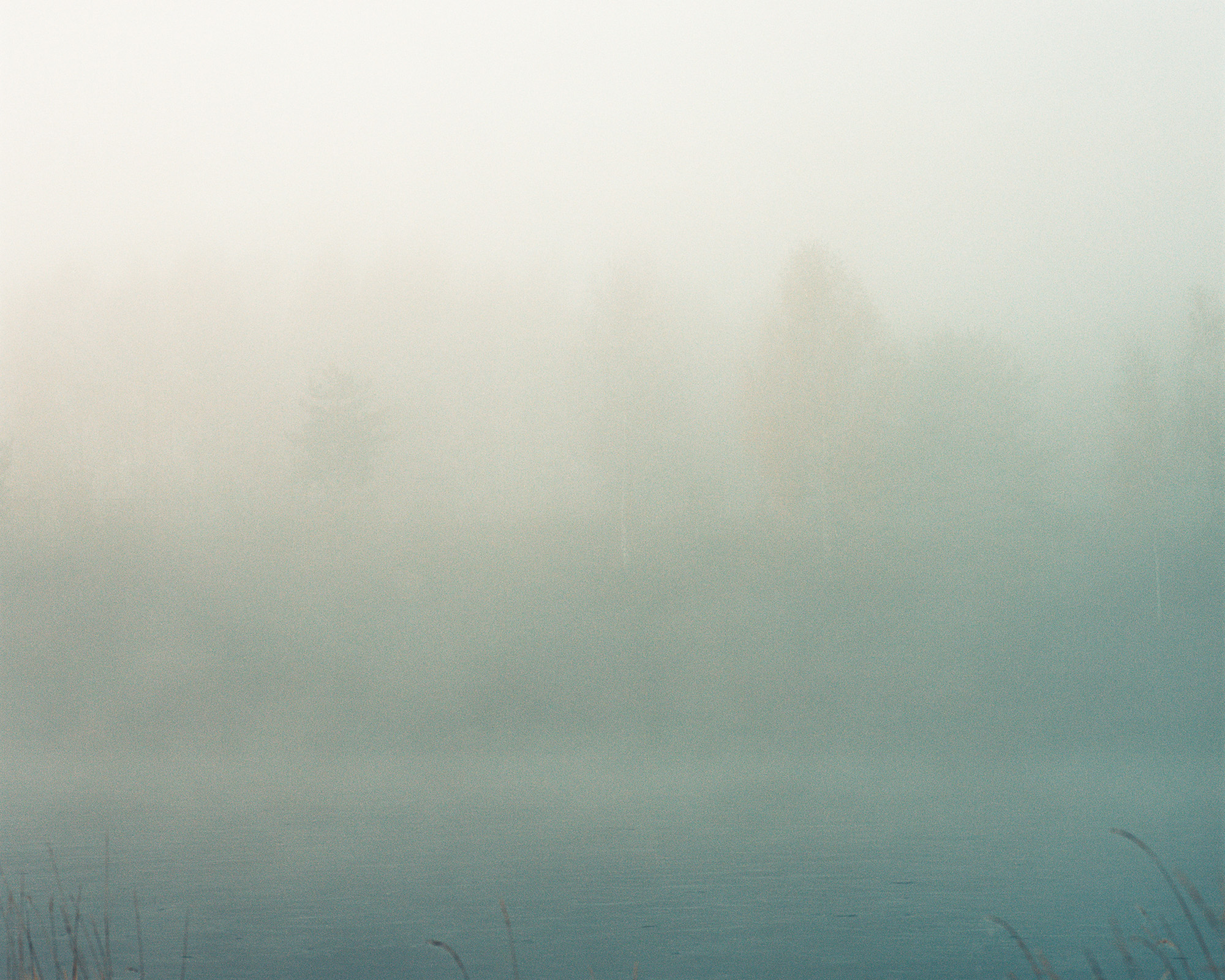 Холохольня, Тверская Область, Россия 2018