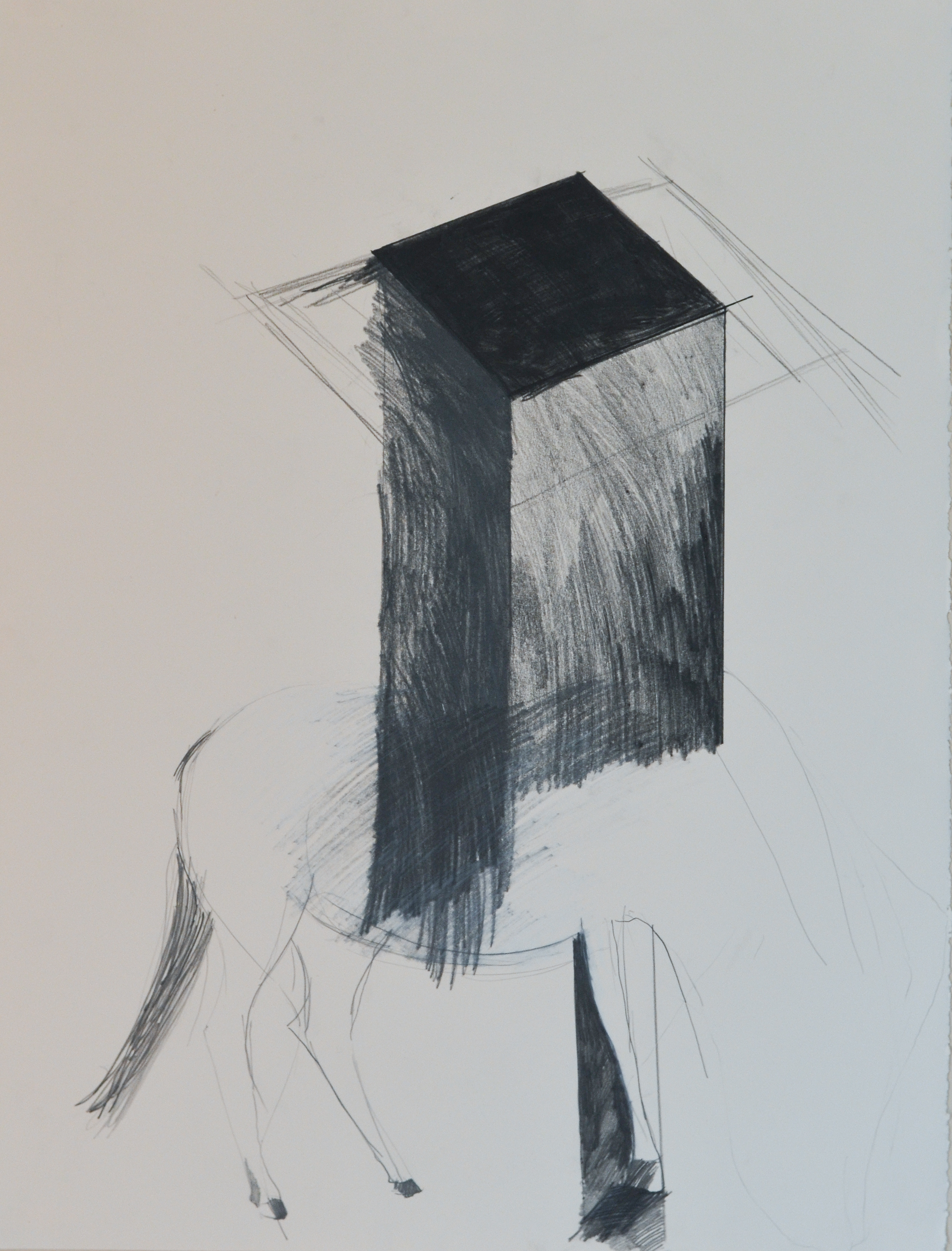 I DREW A HORSE 30x22" graphite on paper 2018