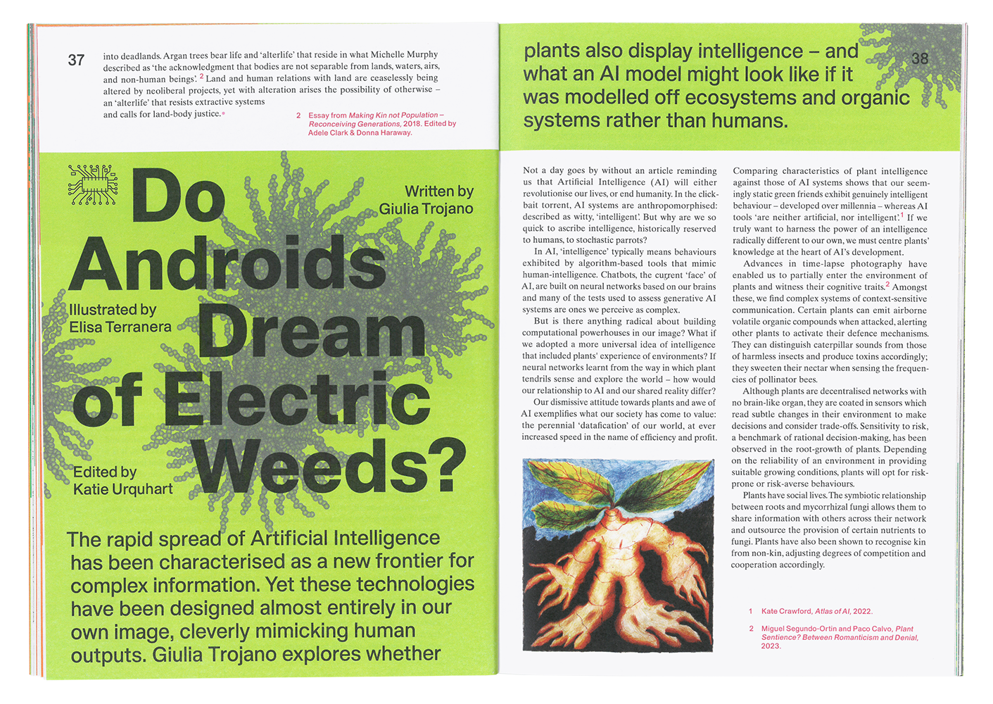 Article written by Giulia Trojano and illustrated by Elisa Terranera - It's Freezing in LA! #10: Plants