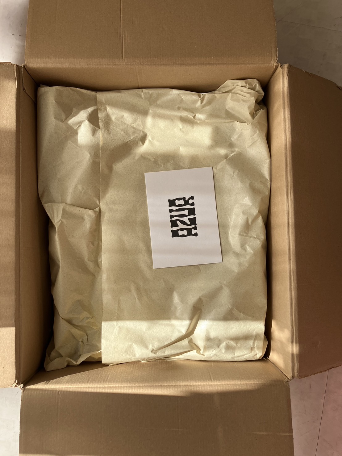 植物の色たち - FEBRUARY 8, 2025