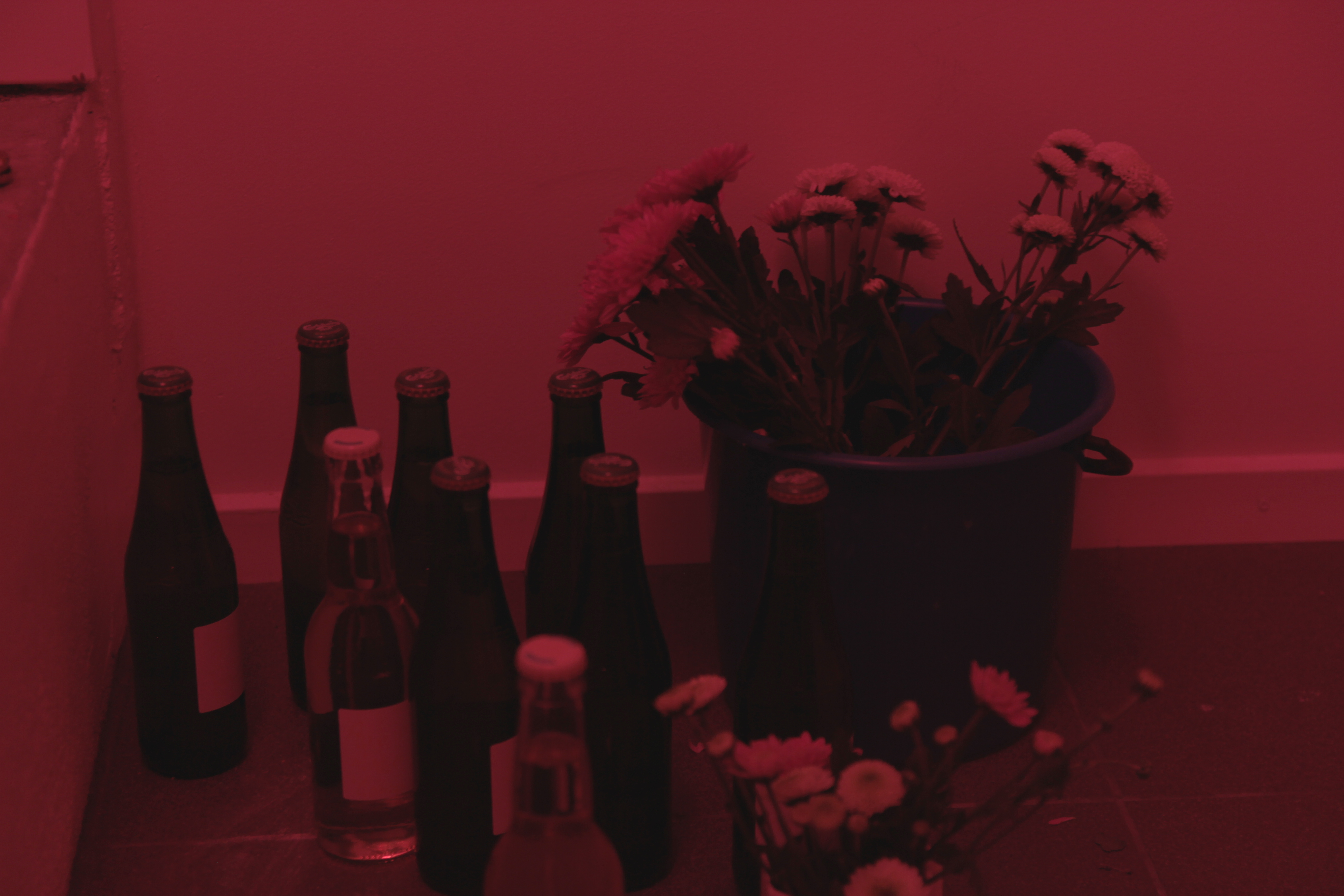 Anna Reutinger & Garance Wullschleger, Morte Liiiiiiiffeeeeeee, still naaaaaattuuuuree, exhibition opening, Galleri Nef, 2021. Photo: Mourning School