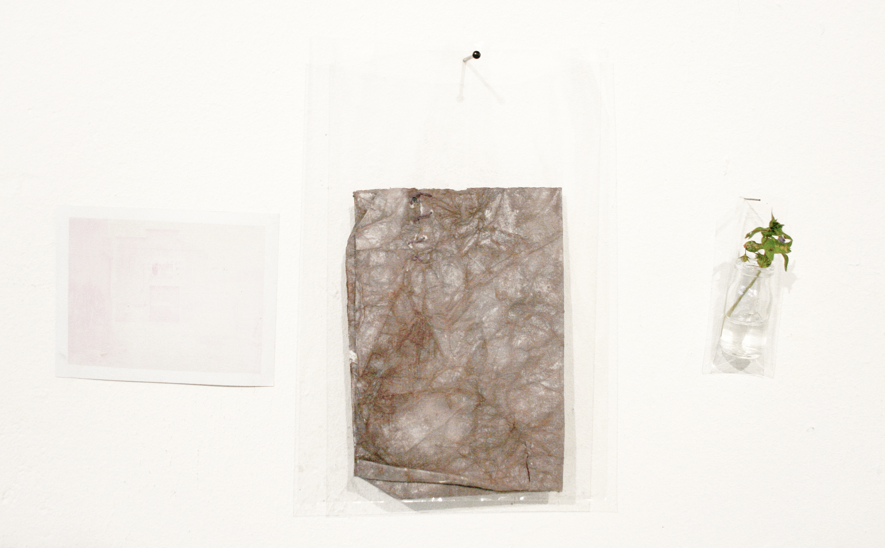 Sese titol, dennise vaccarello, 2011.