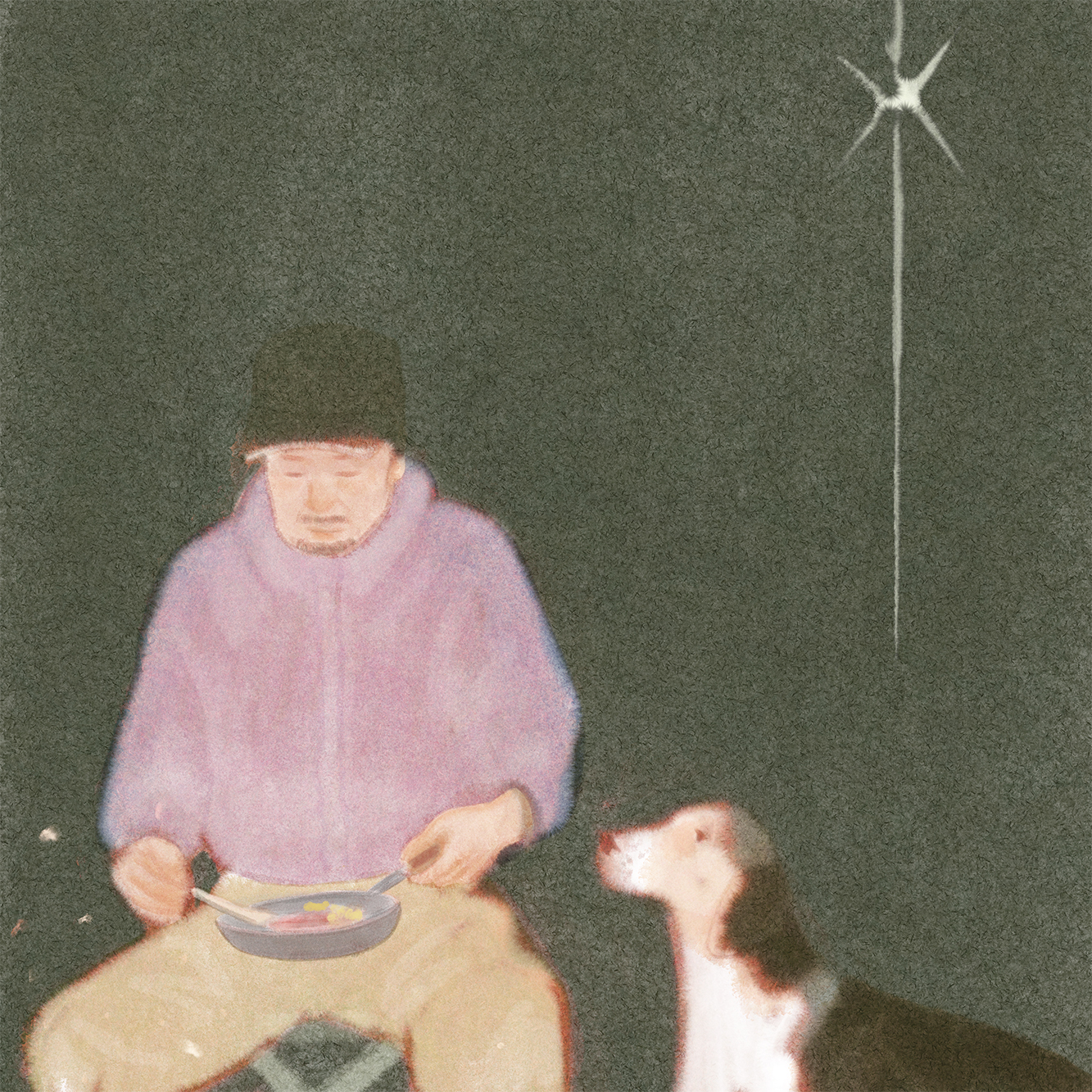 The Night Guest (Series)