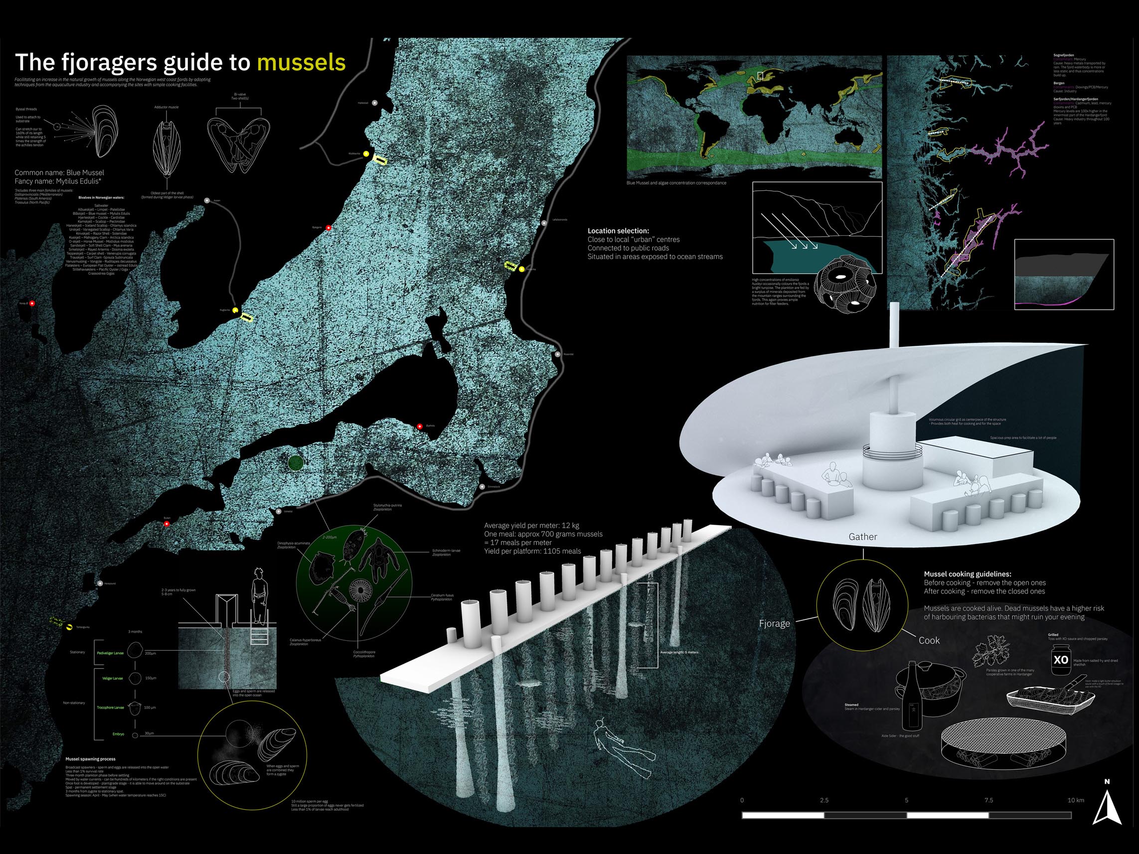 The Fjoragers Guide to Mussels  Kasper Lygre Gulbrandsen