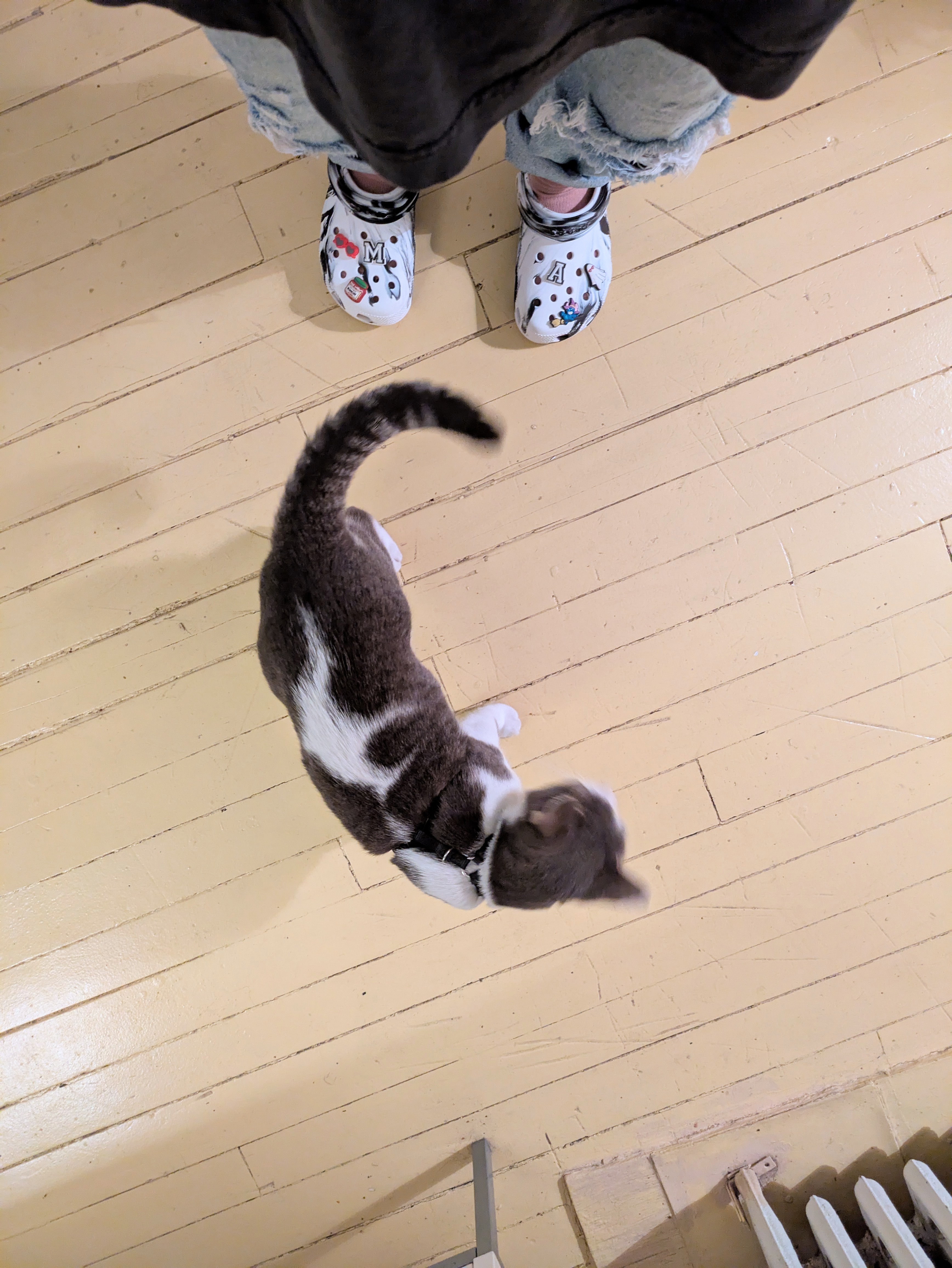 Oct 3, 2025: Winston!