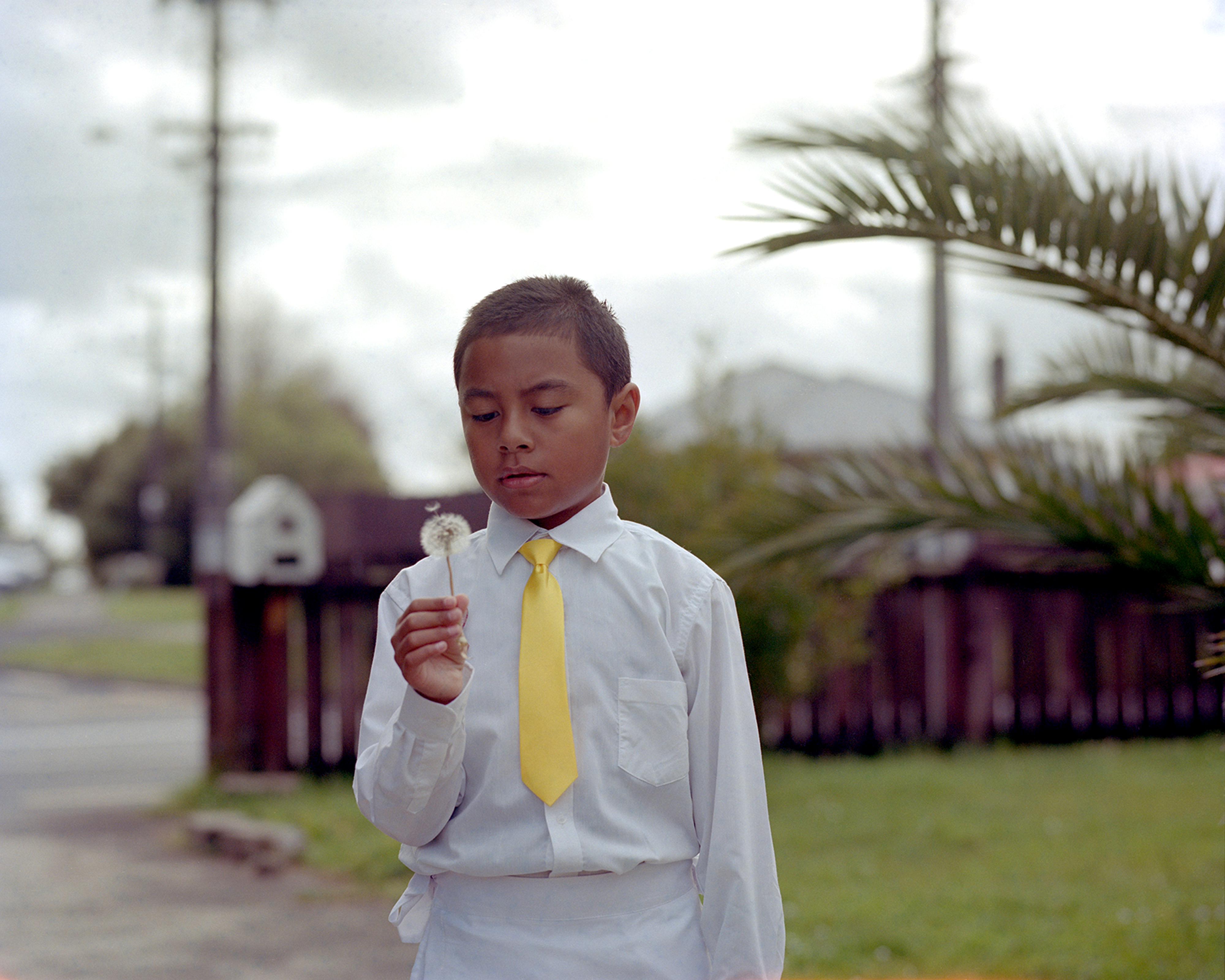 Isaac with a Dandelion on White Sunday, 2014 (Triptych)