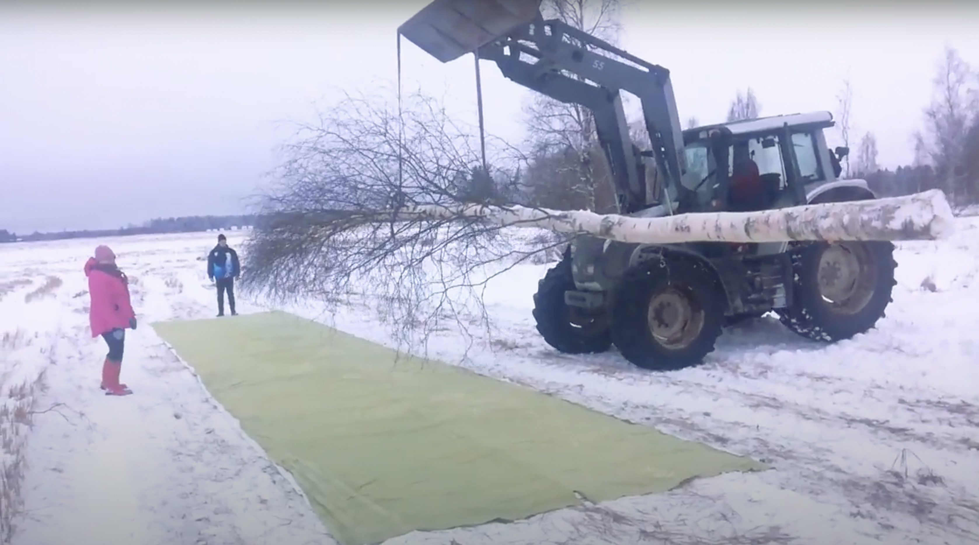 Anne Roininen: Puu kaatui, 2021