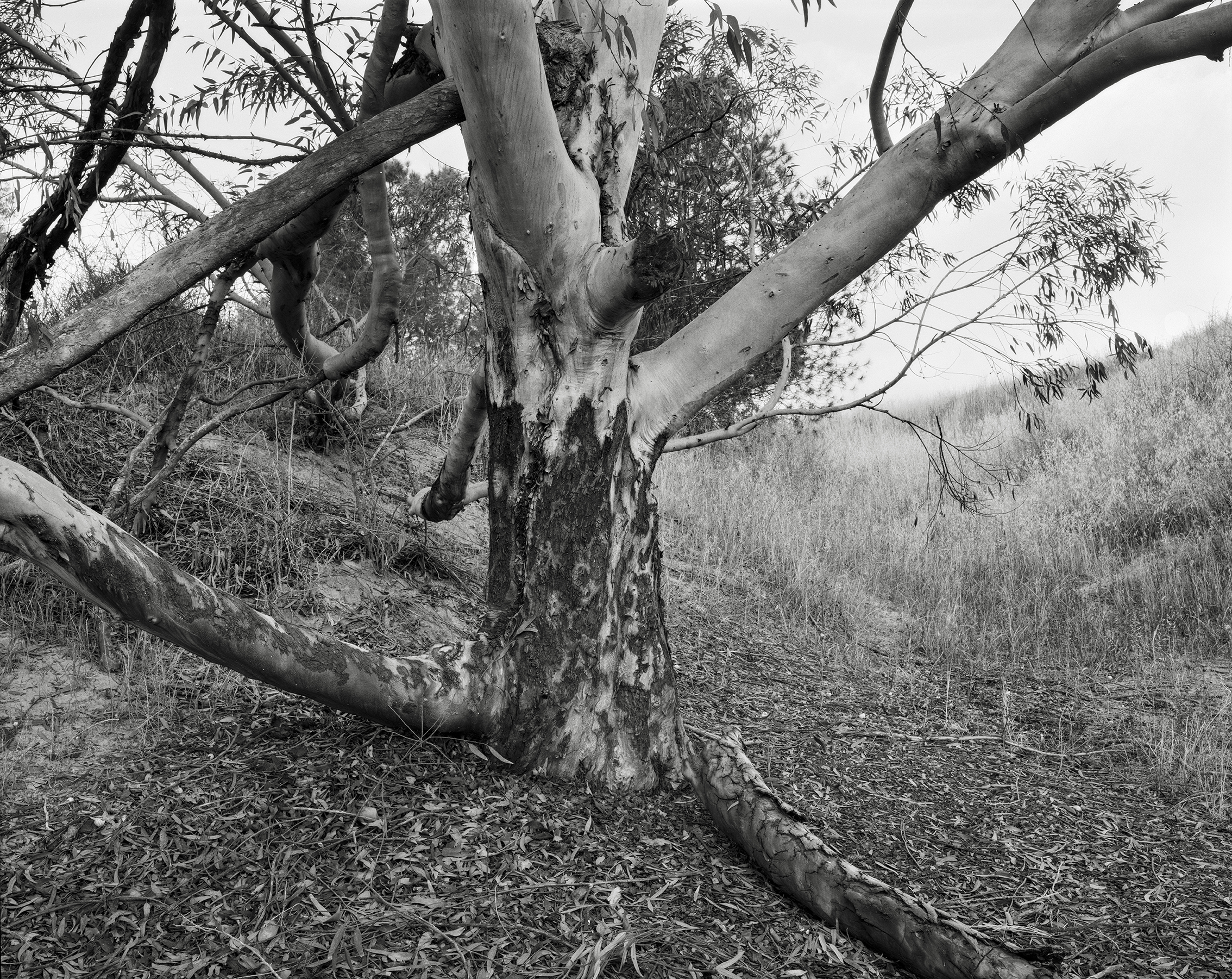 Hideout, 2023-24, Inkjet print, 68.5x80 cm
