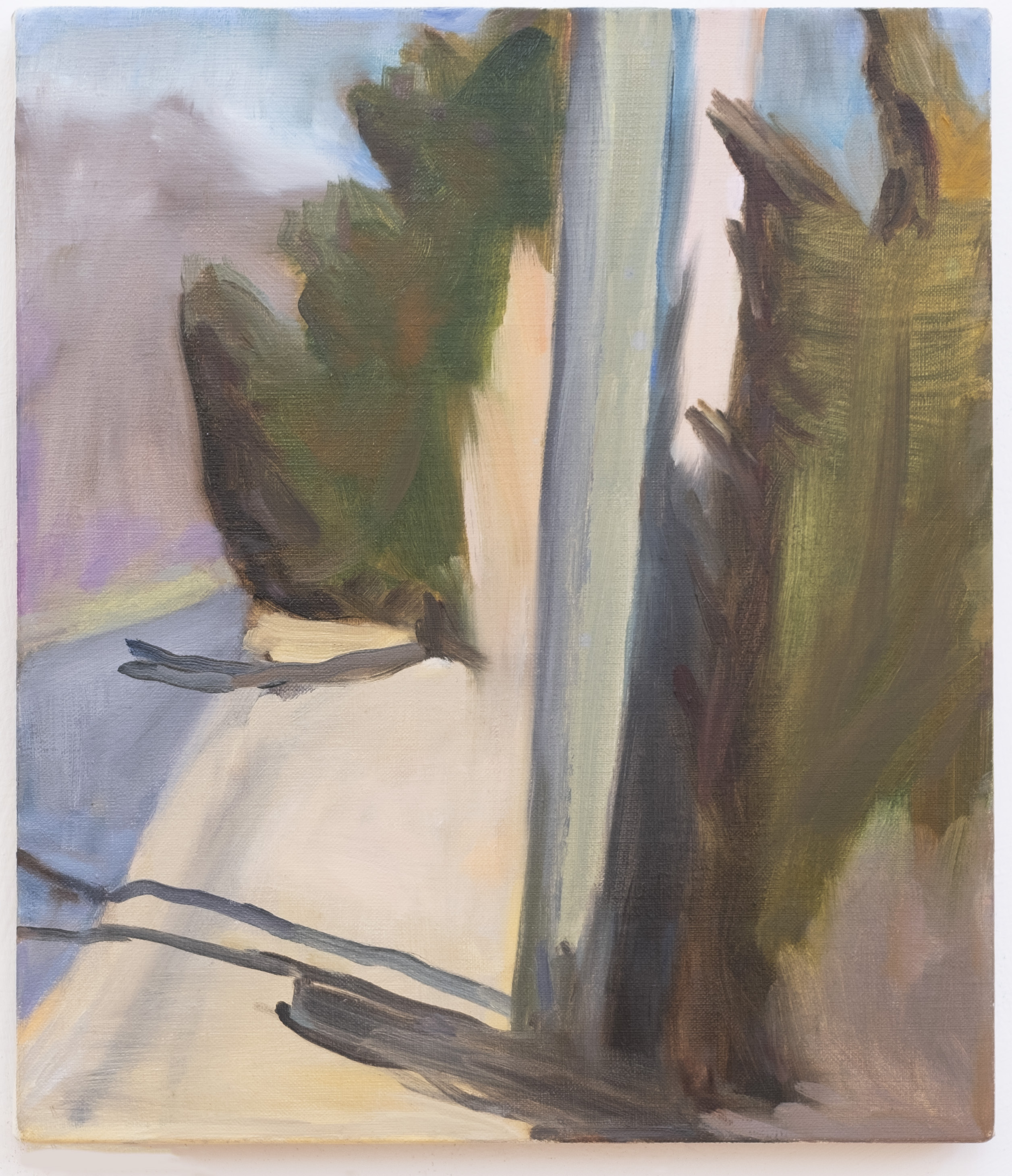 Long Island cypress and telephone pole, oil on linen, 14 x 12 inches, 2018