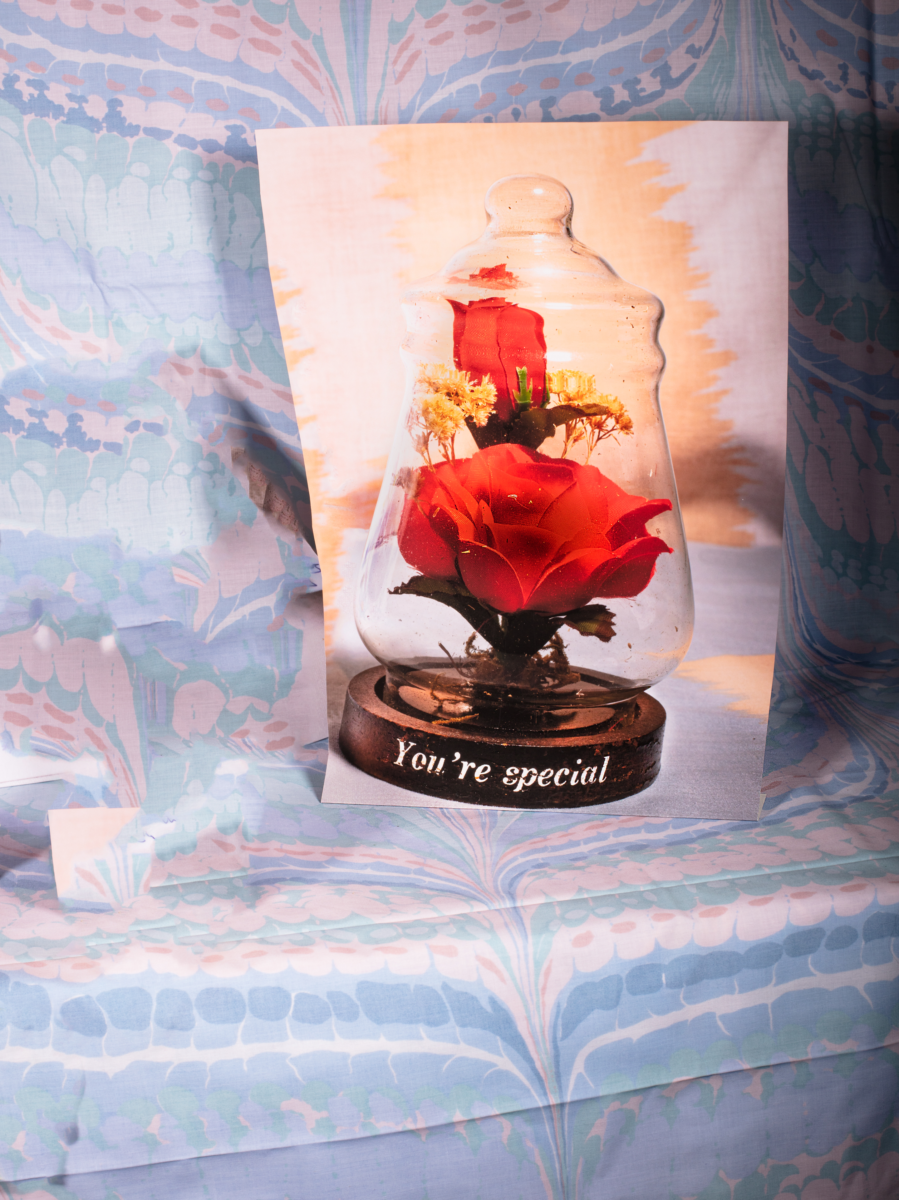 You're special, 2022, archival pigment print, 22” x 17”